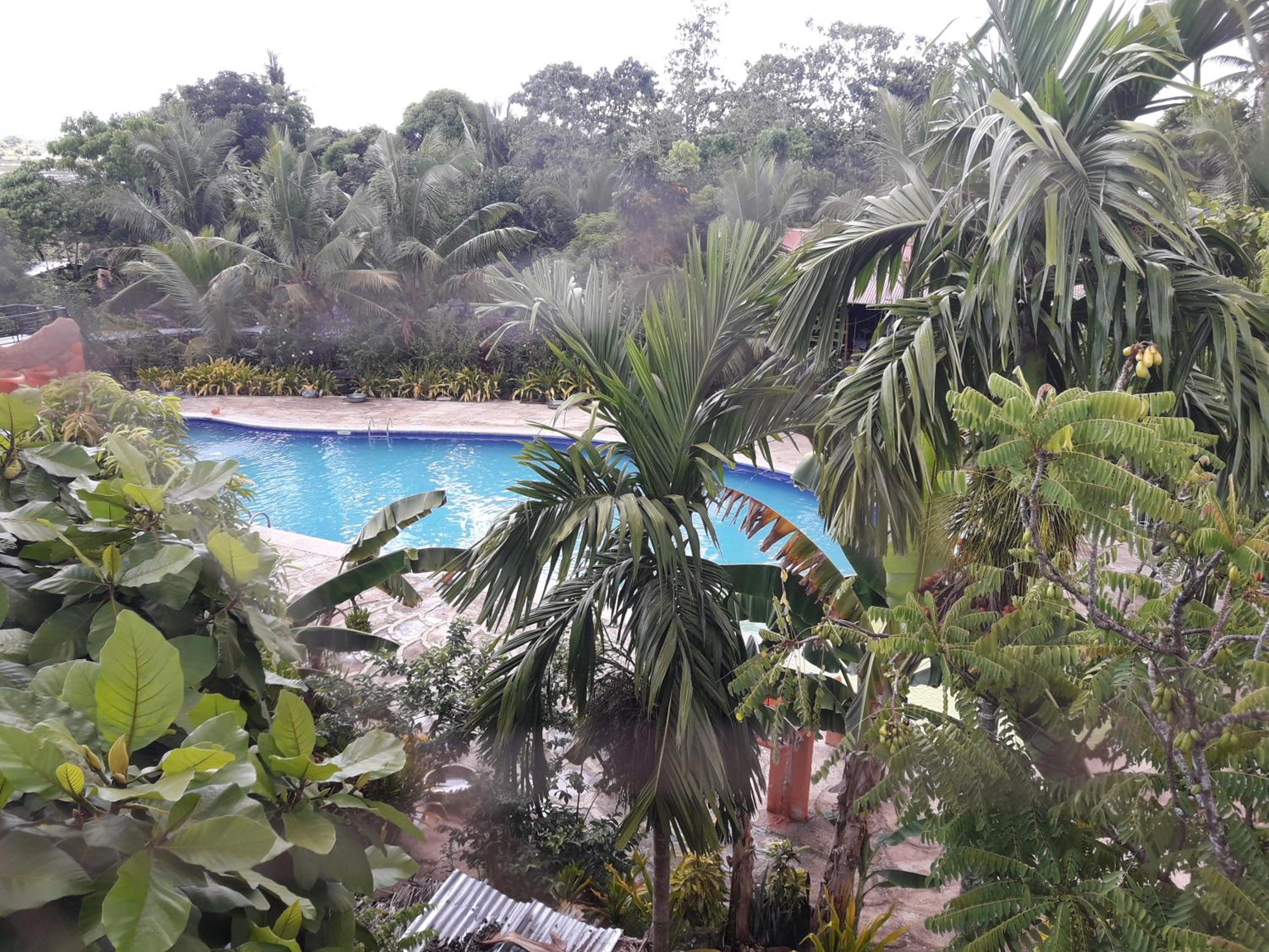 Relaxing Garden Resort