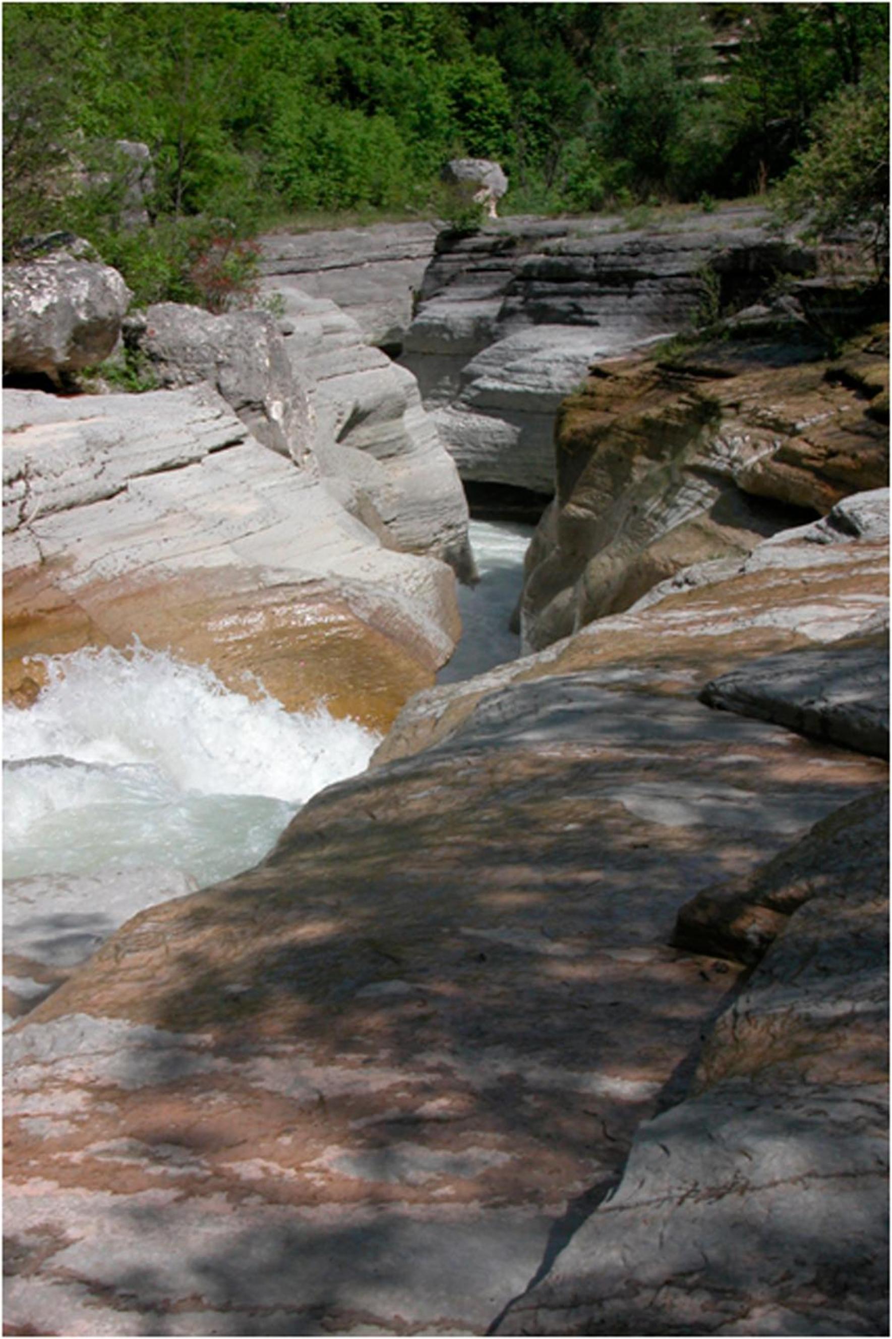 Photo 36