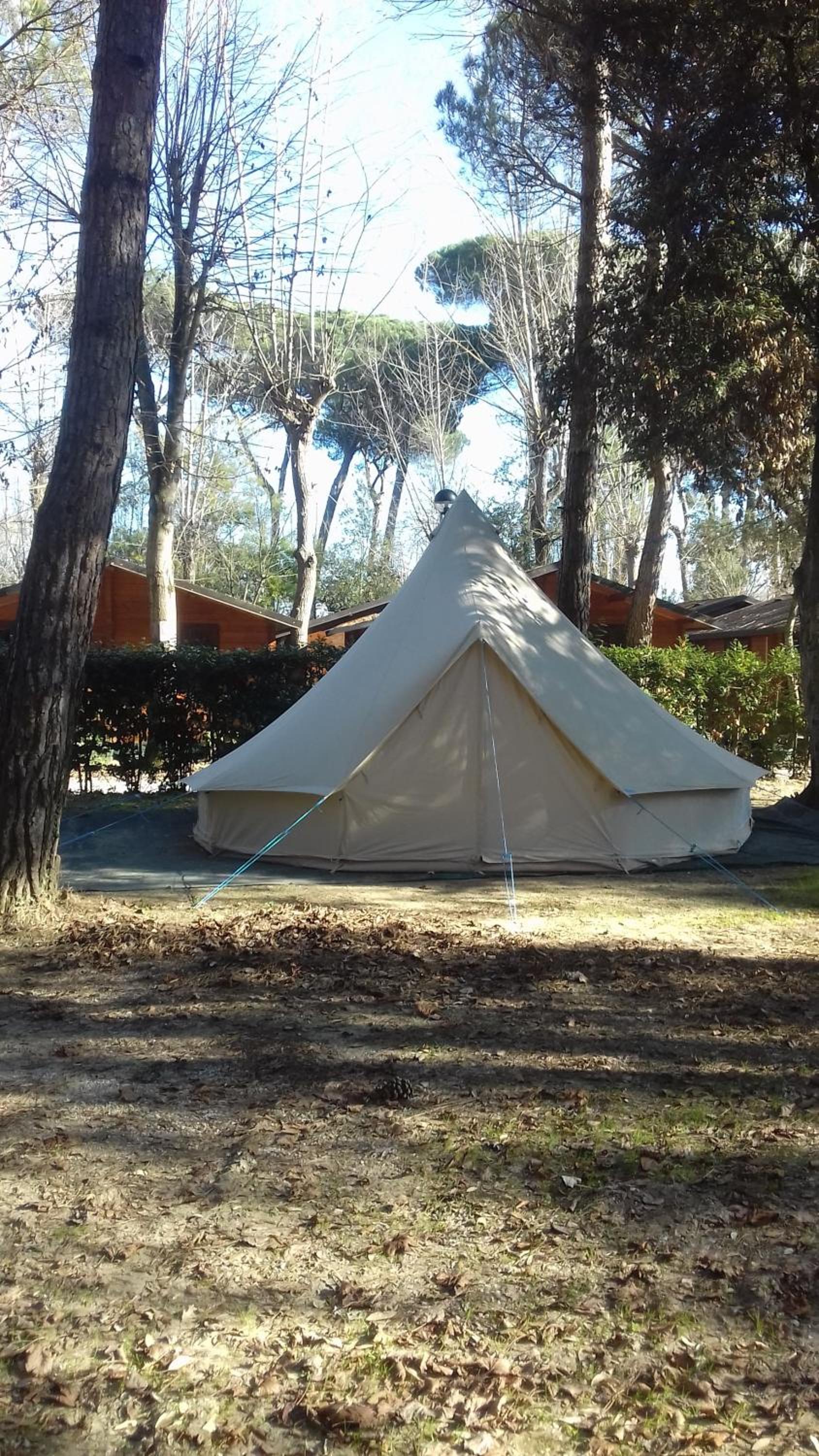 Campeggio Boscoverde, photo 98