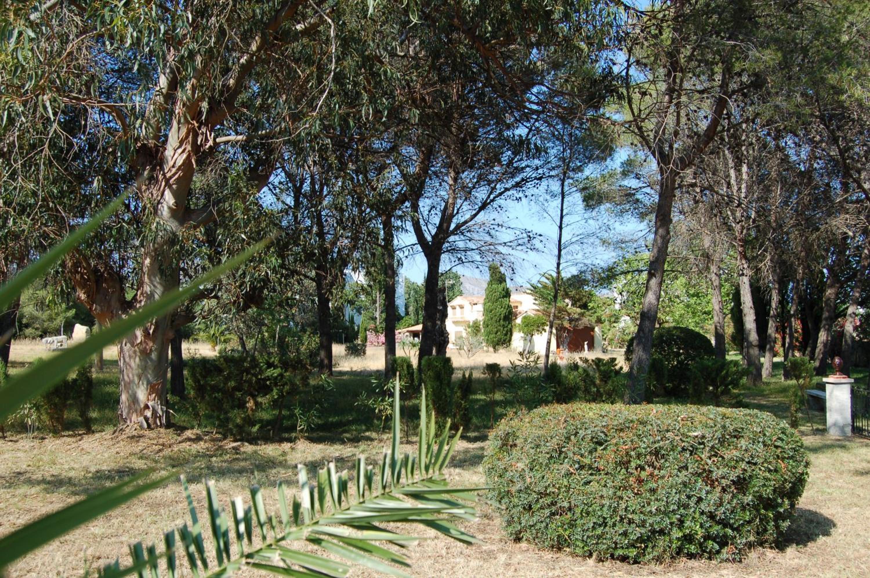 Photo 41