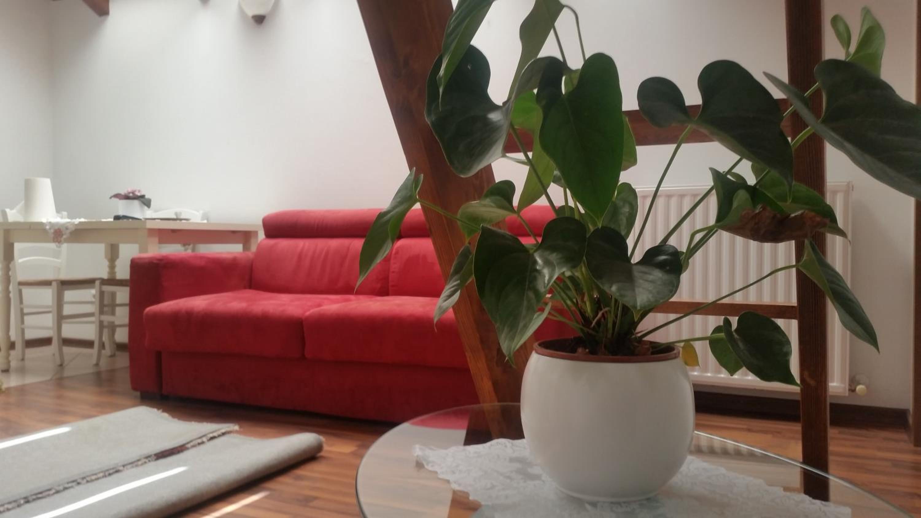 Apartments Vila Bovec view 5