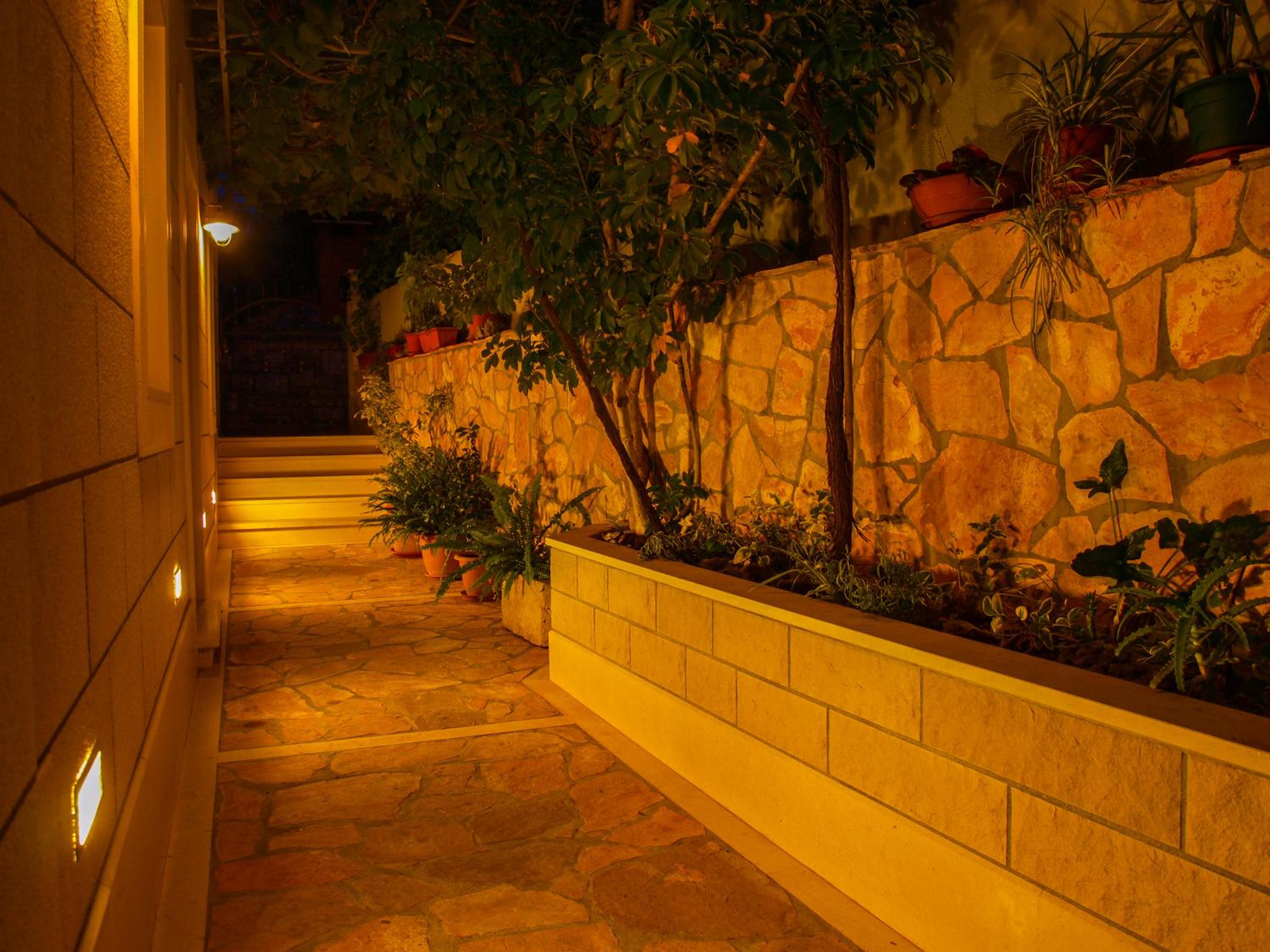 Photo 7
