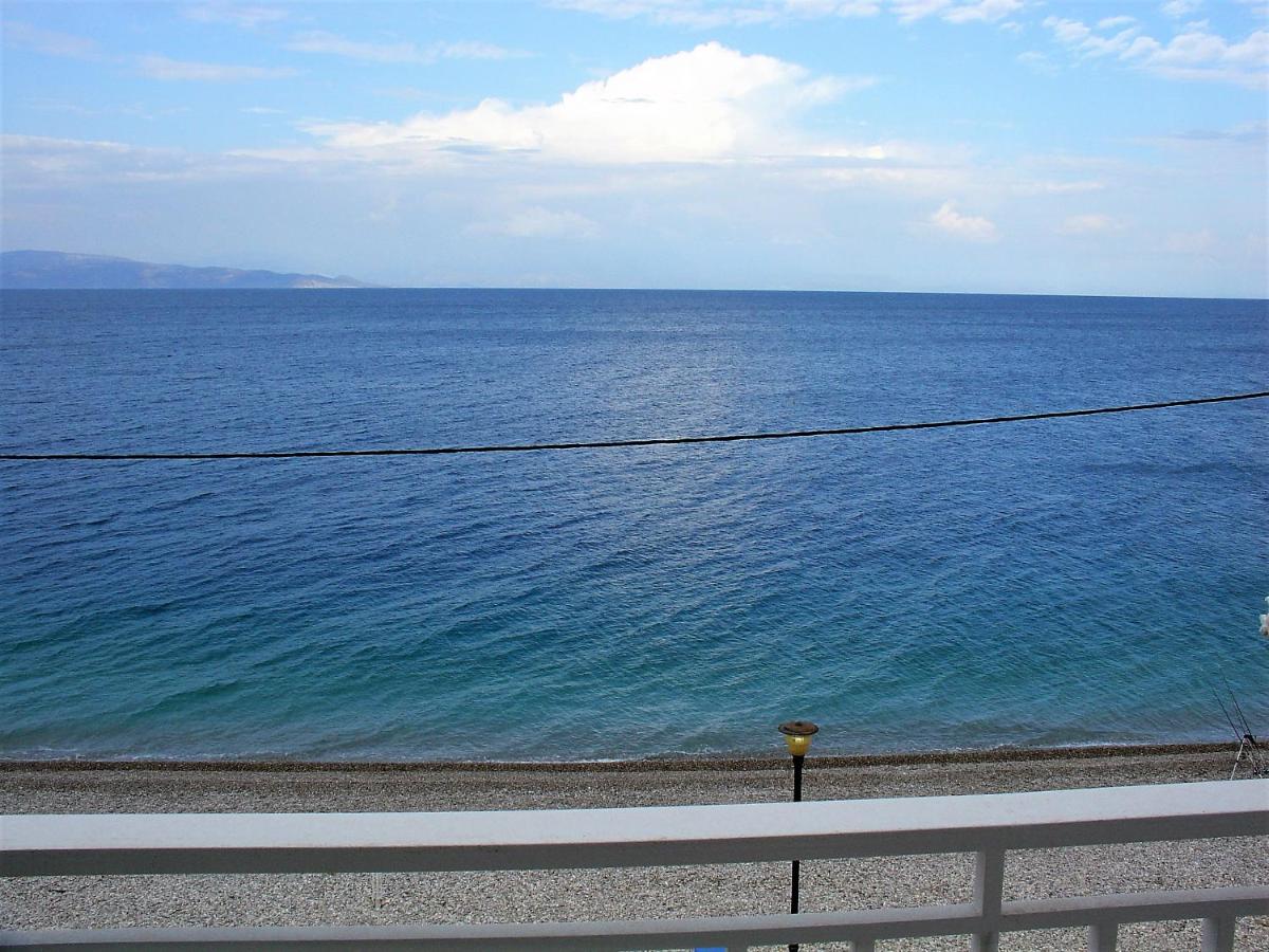 Mondo Cosseri Akrata photo 4