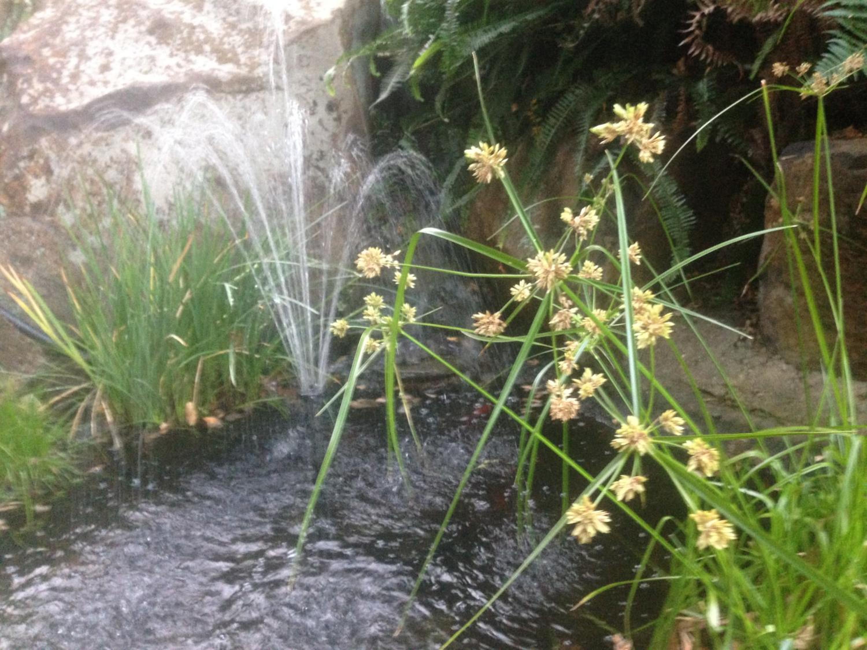 Photo 43