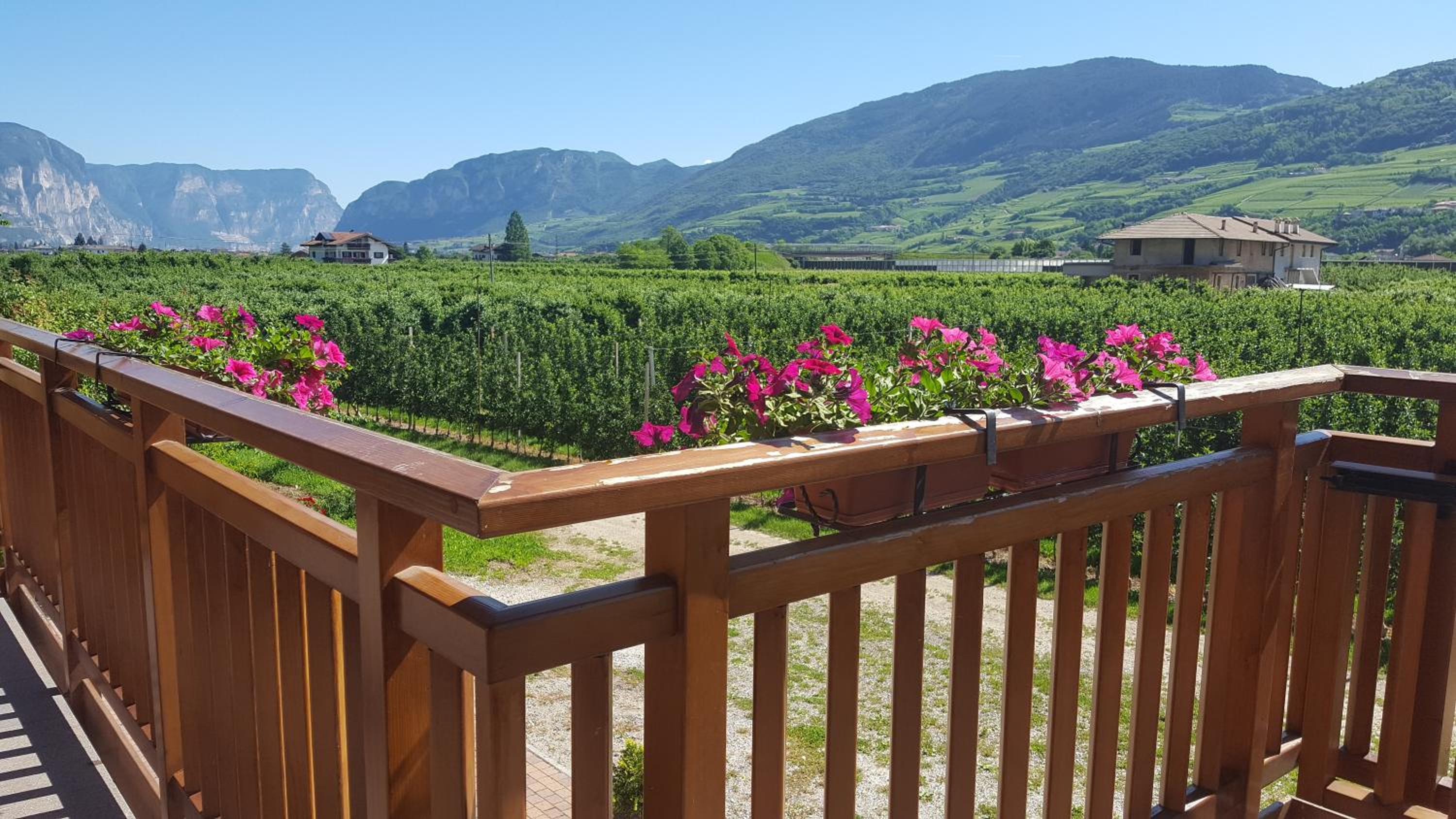 Agritur Clementi