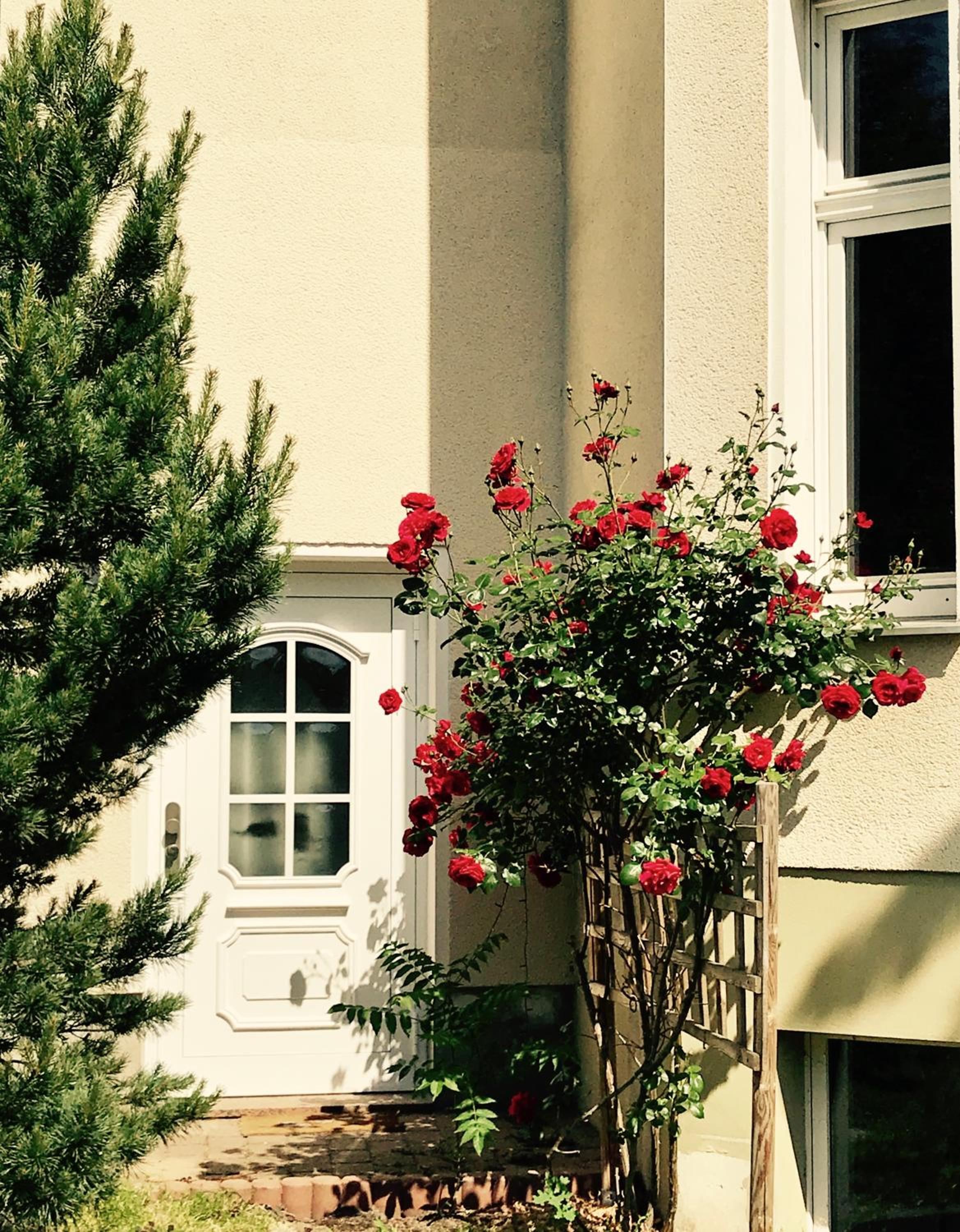 Bürgerpark Apartments