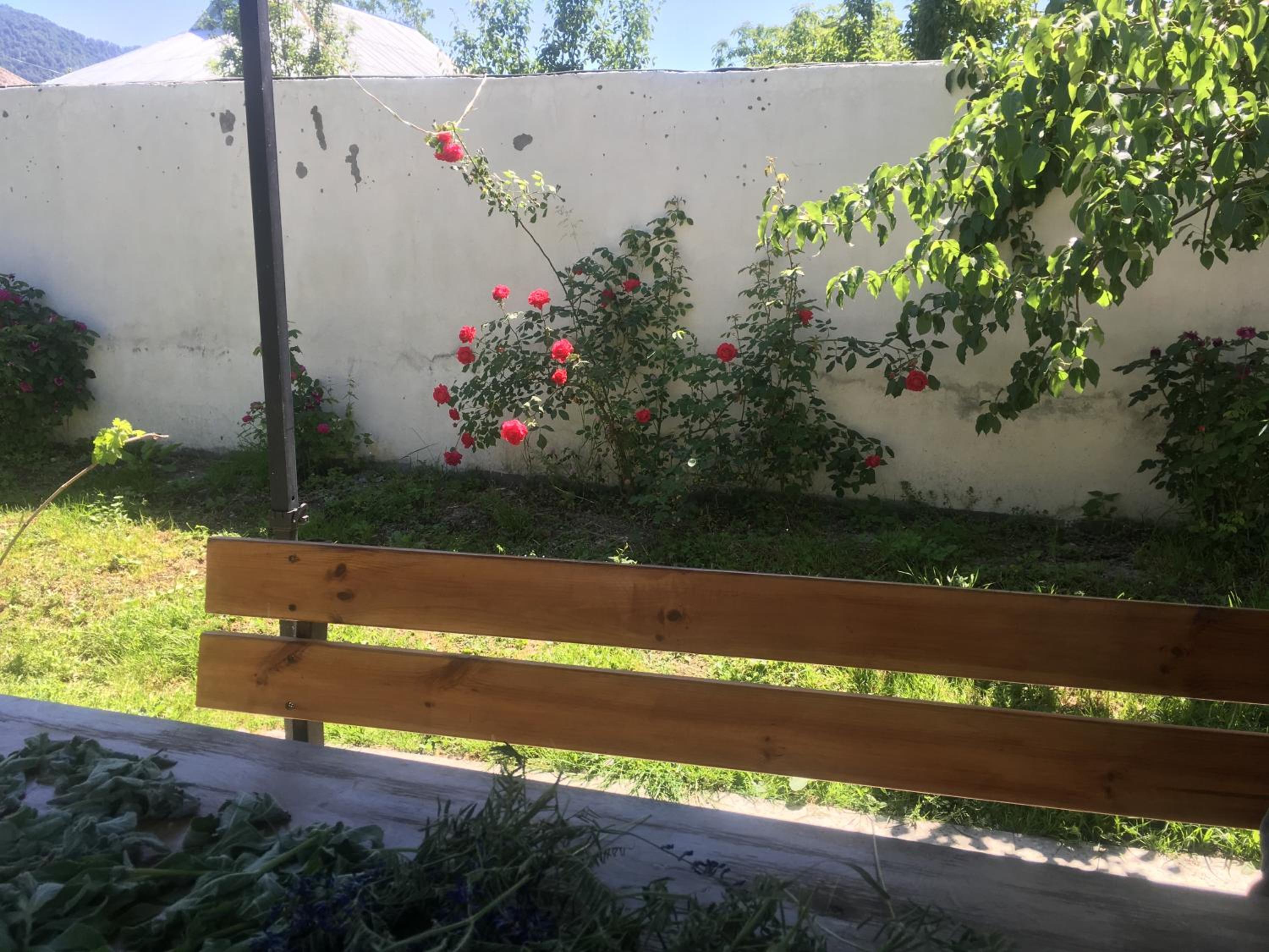 Apartments Firuze