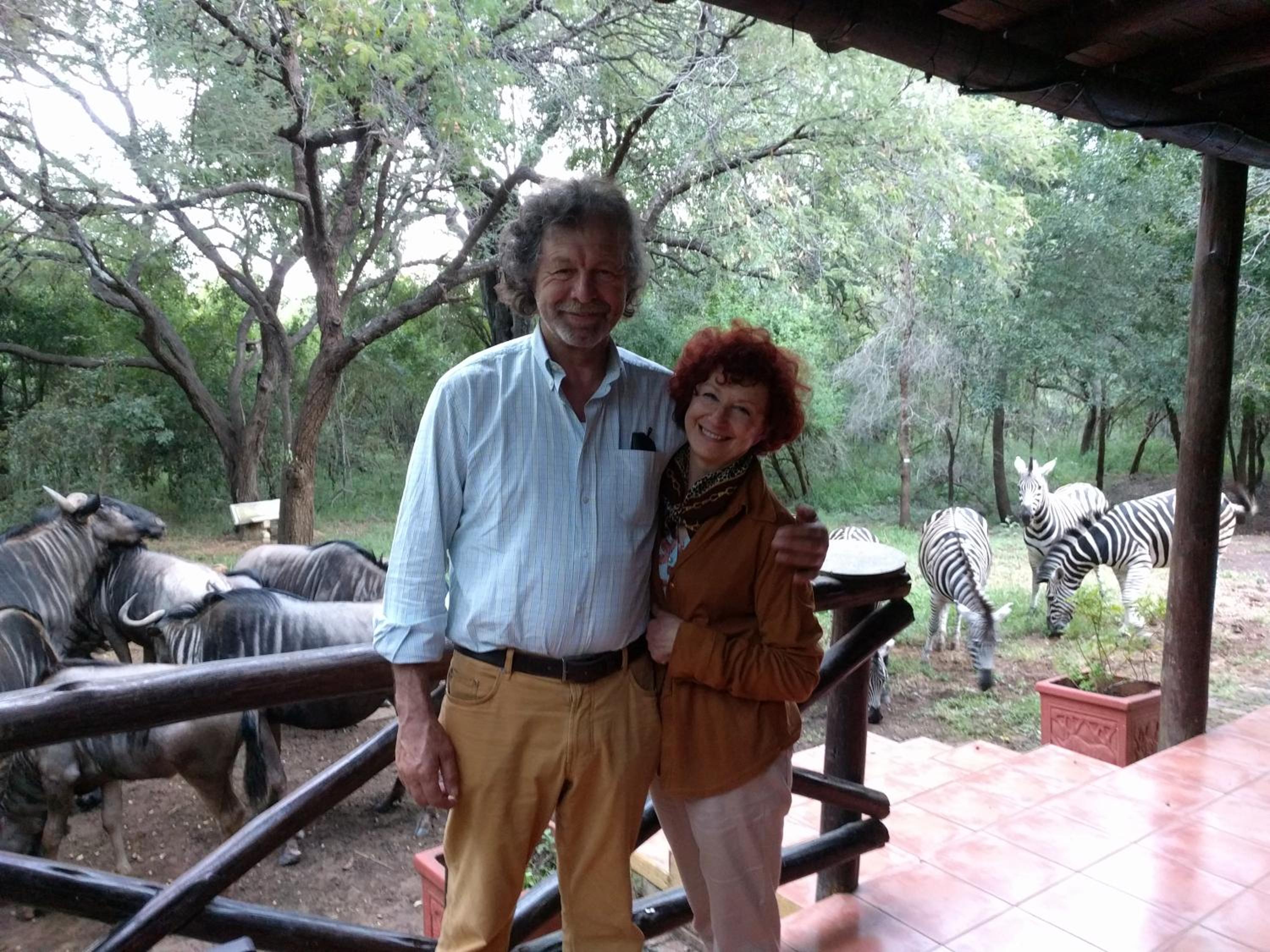 Kruger Safari Animal Encounter