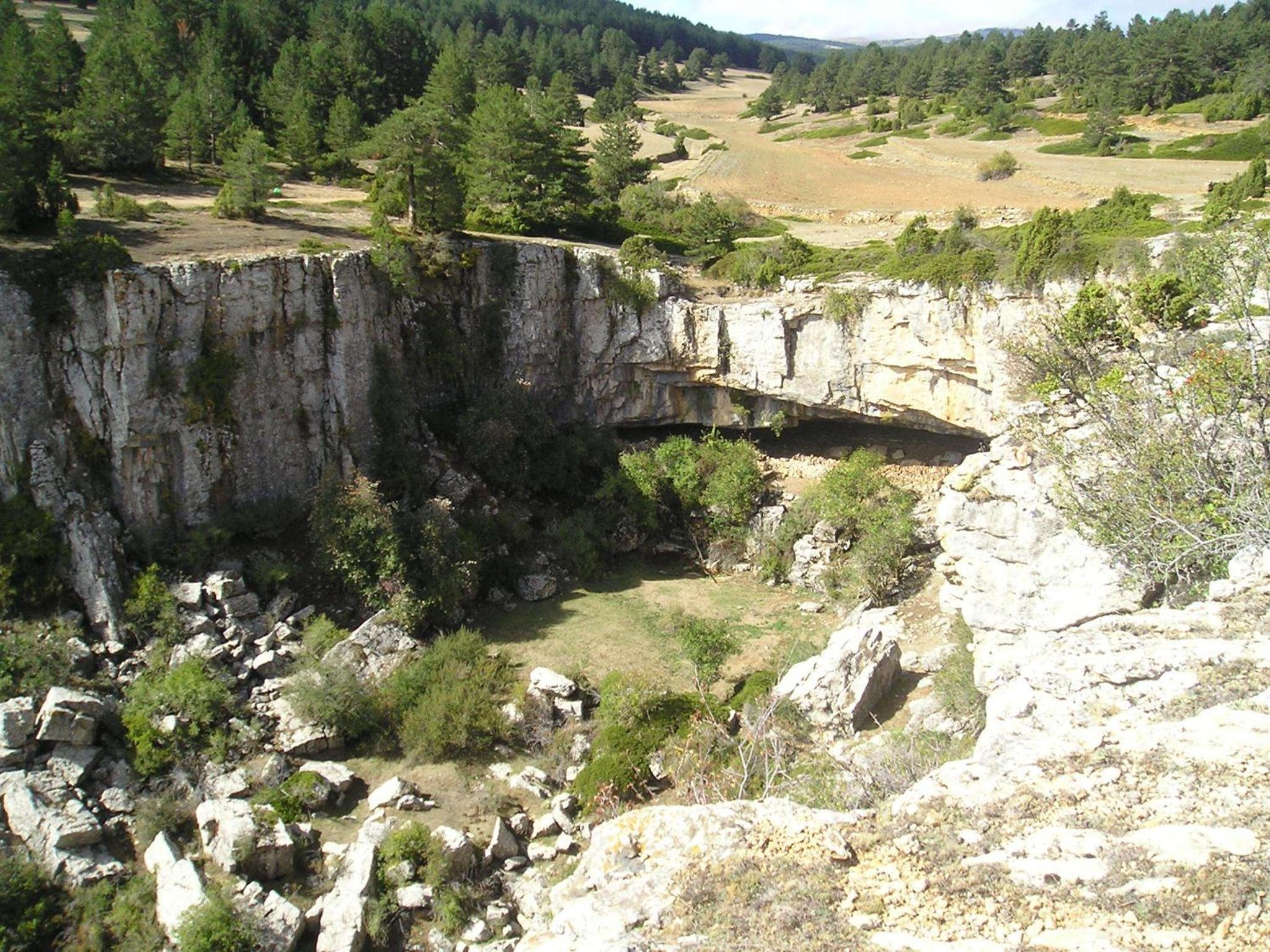 Photo 25