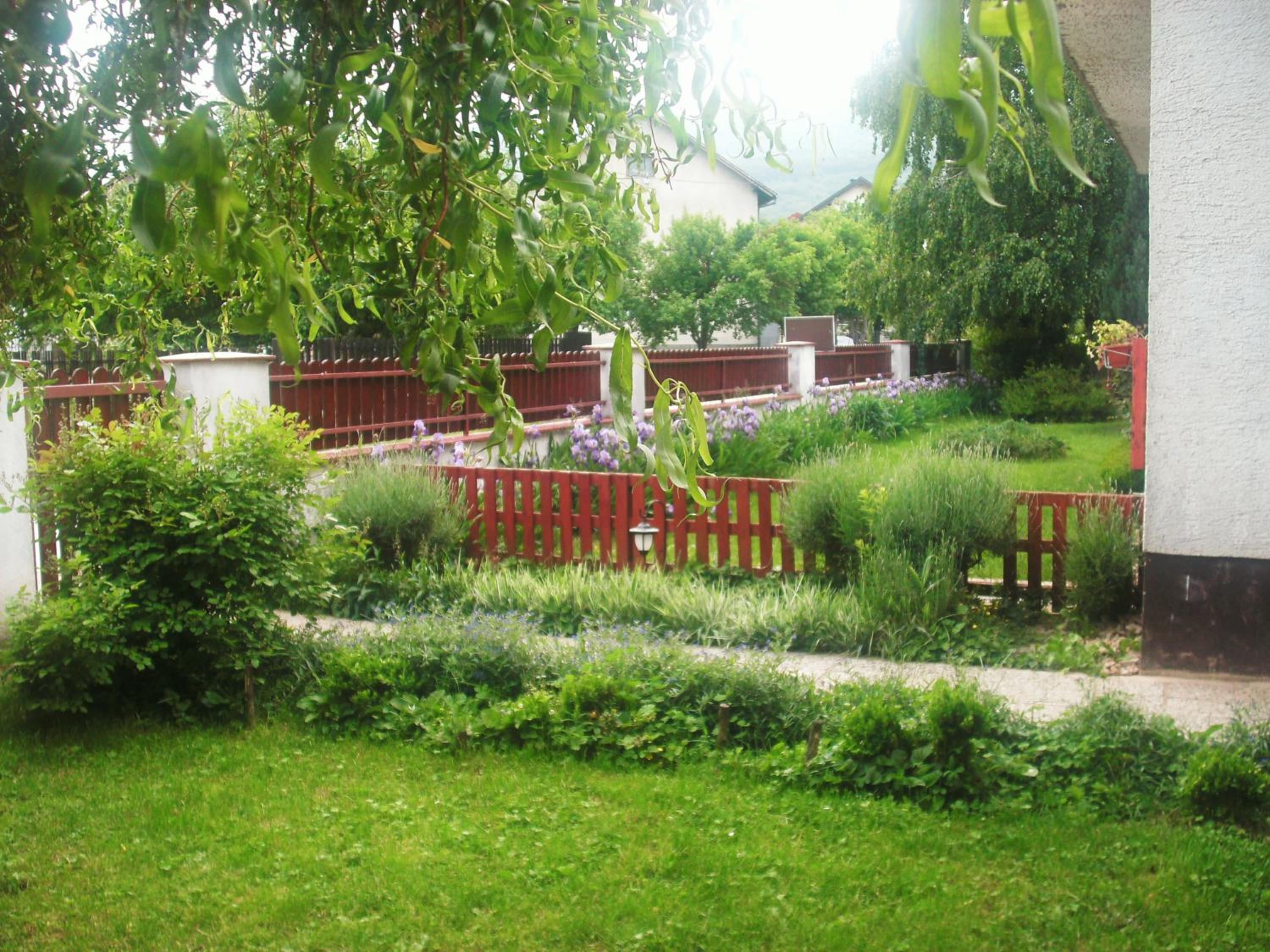 Photo 8