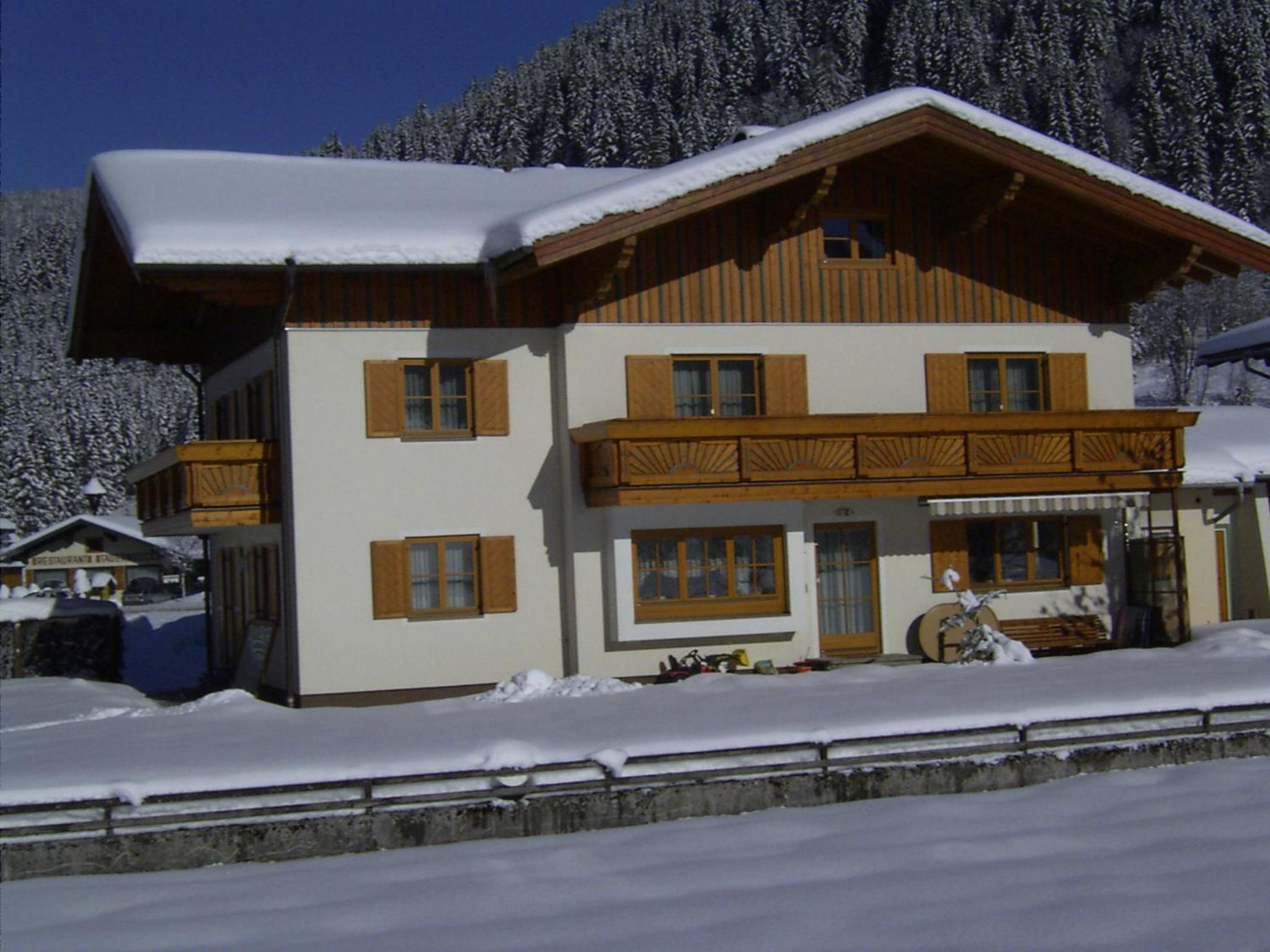 Haus Buchsteiner view 3