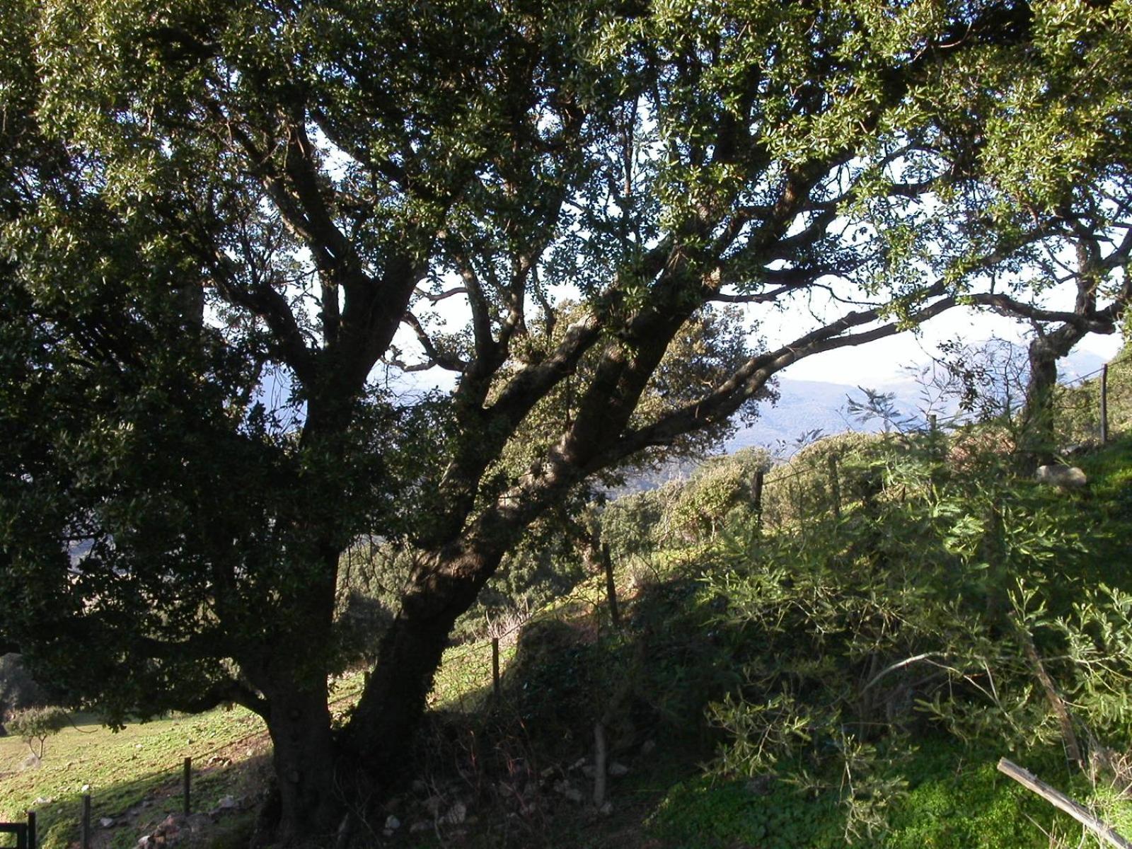 Photo 20