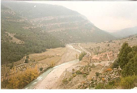 Photo 32