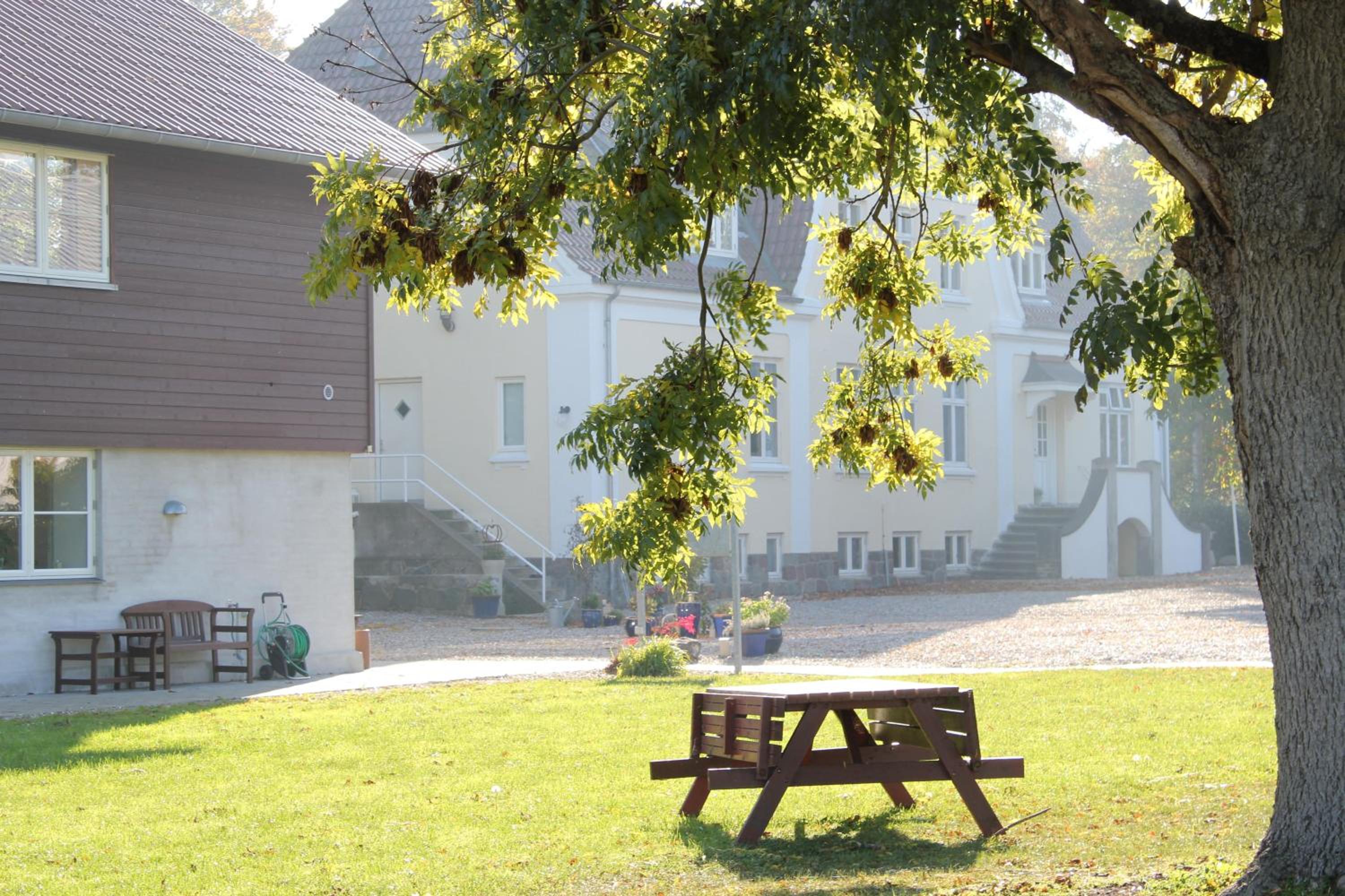 Tiendegaarden Møns Klint