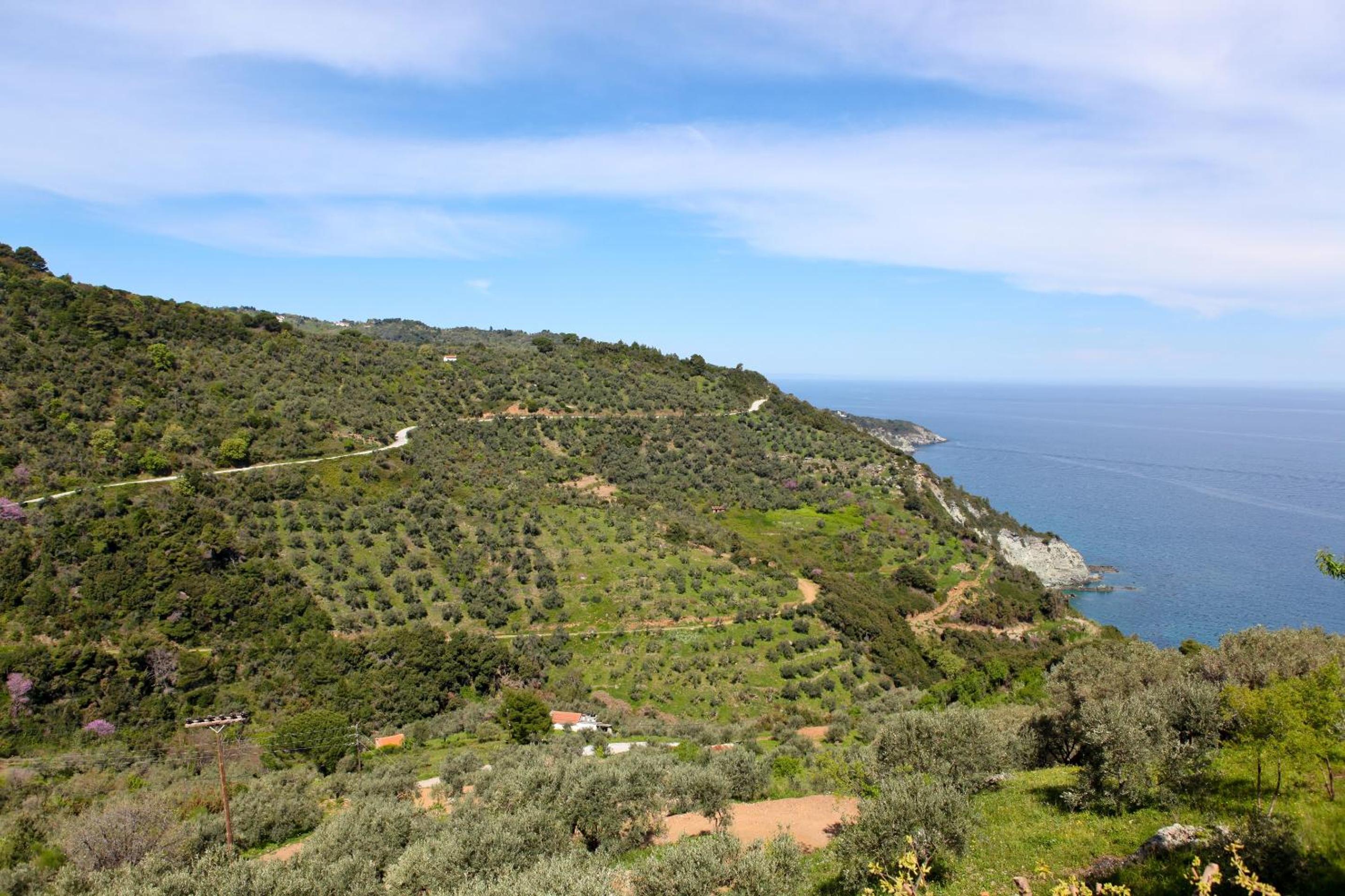 Villa Rose
