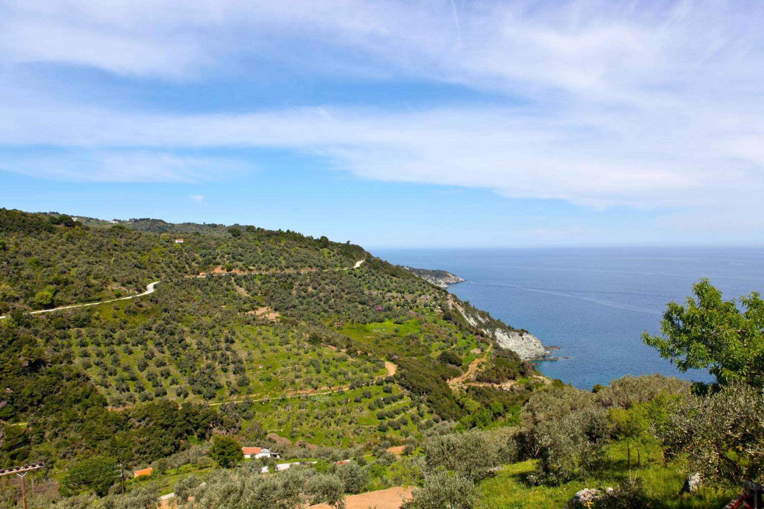Villa Rose