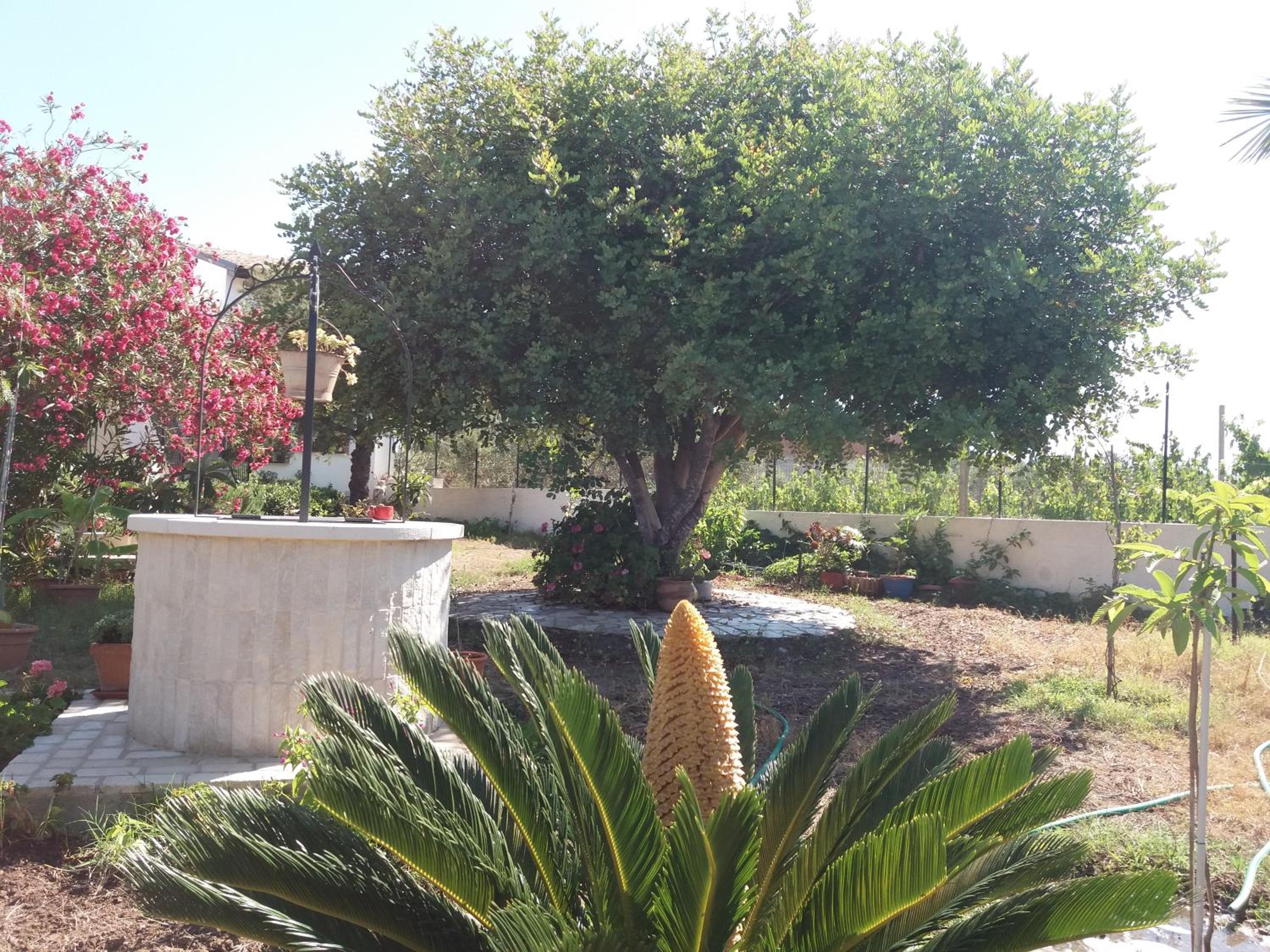 Appartamento Acacia