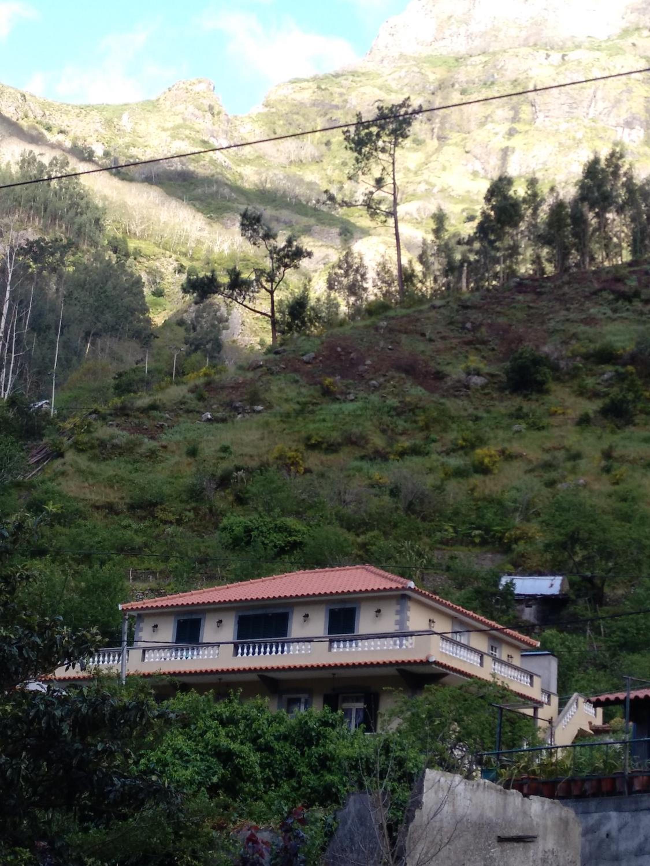 Danny's Rural Suite view 2