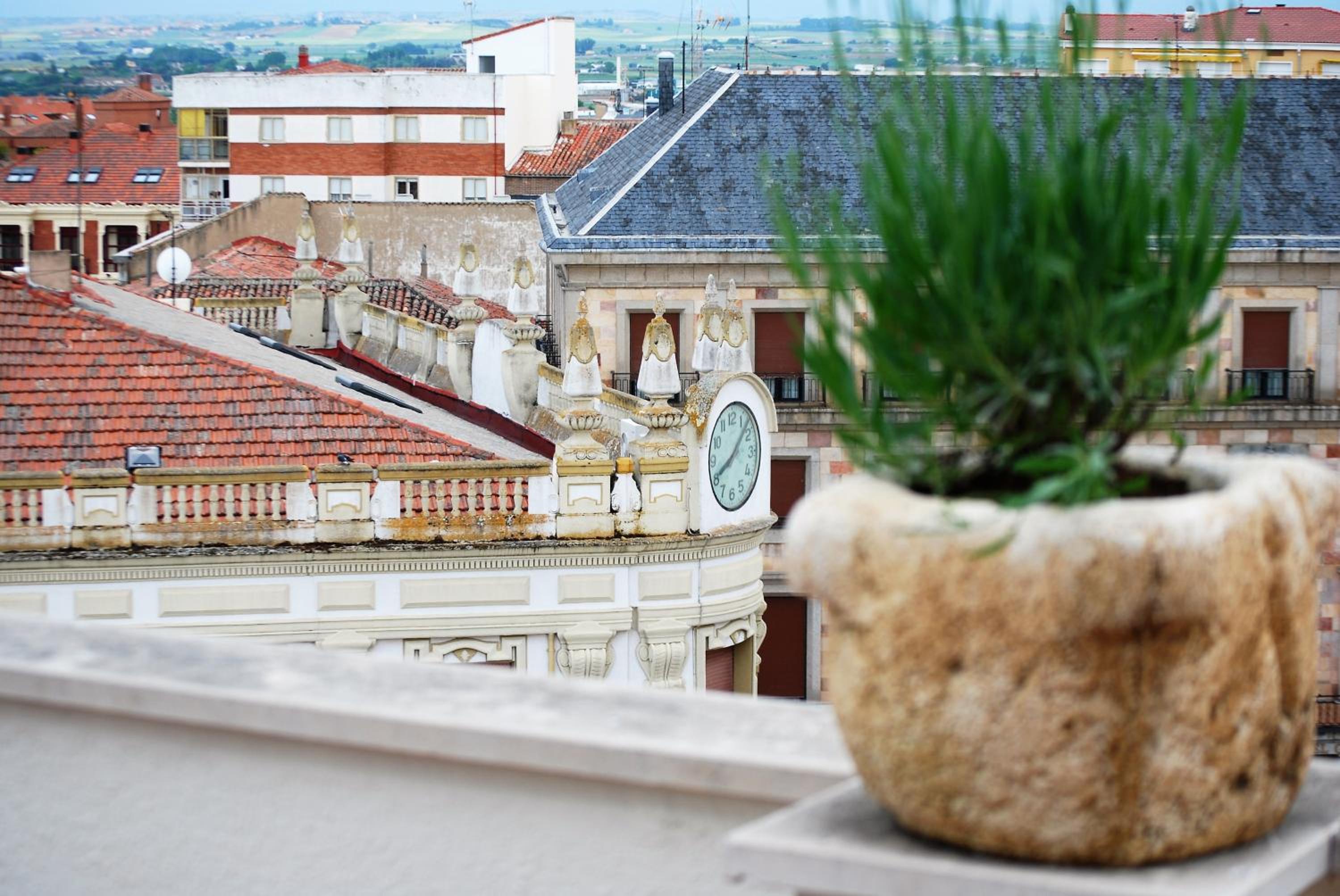 roof