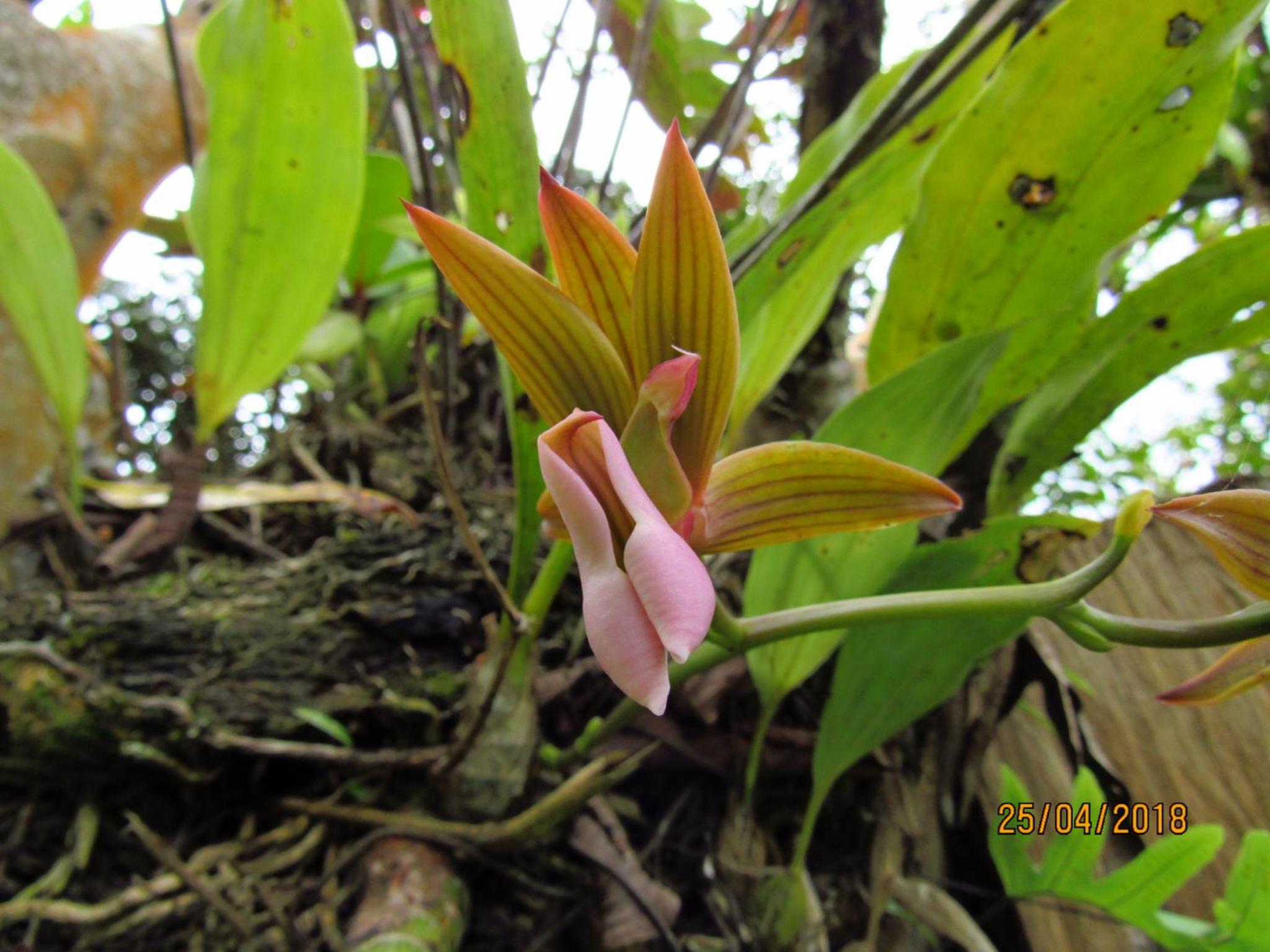 El Encanto Nature Reserve