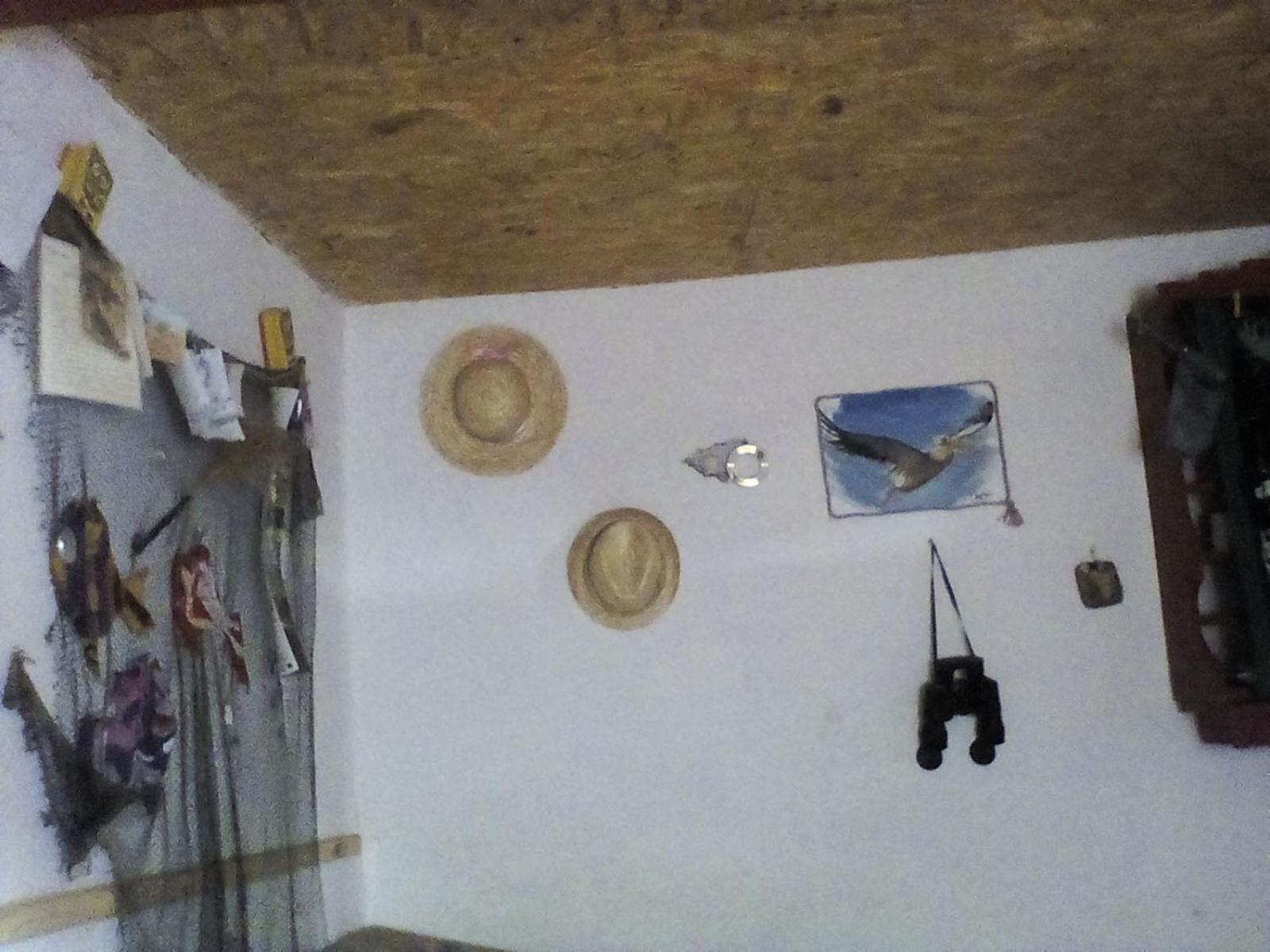 Photo 169