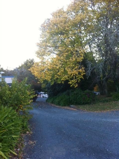 Caves Motor Inn Waitomo