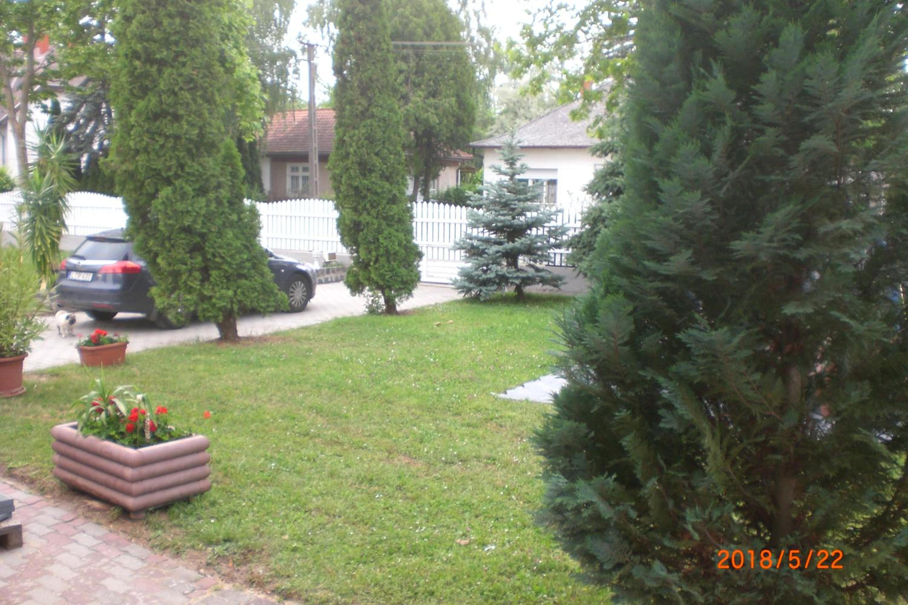 Photo 144