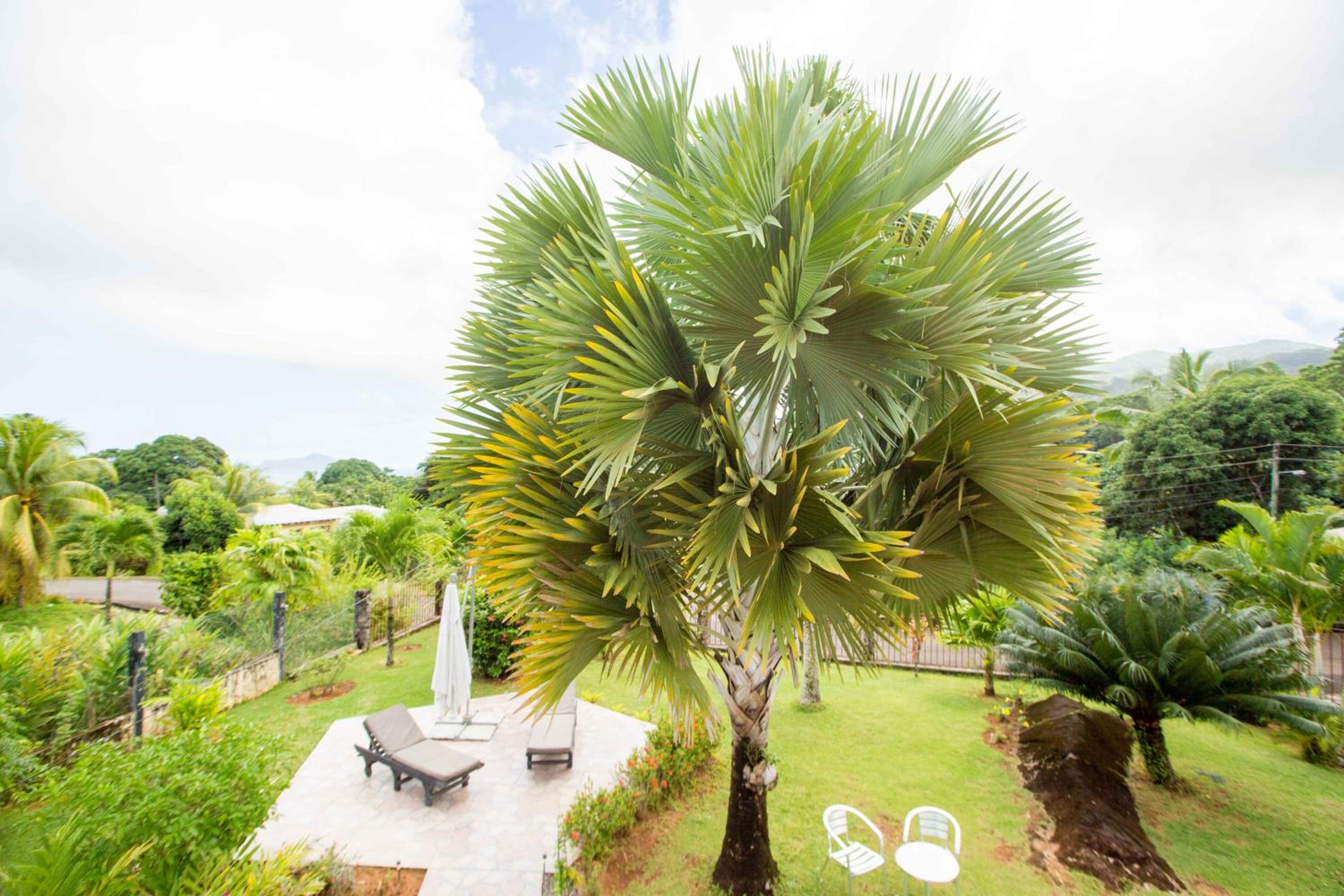 The Orchard Holiday Home