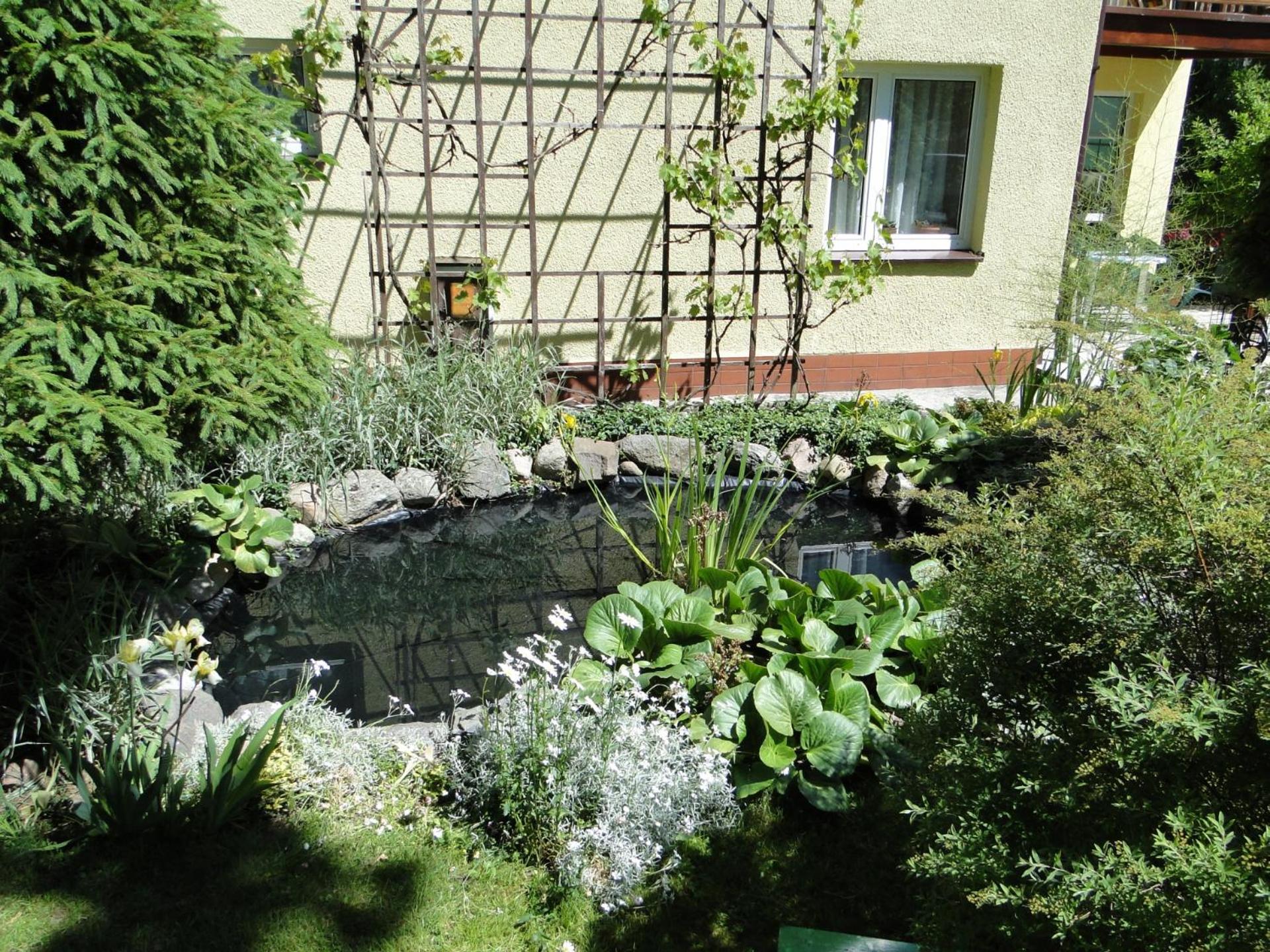 Dom wakacyjny u Mirka view 5