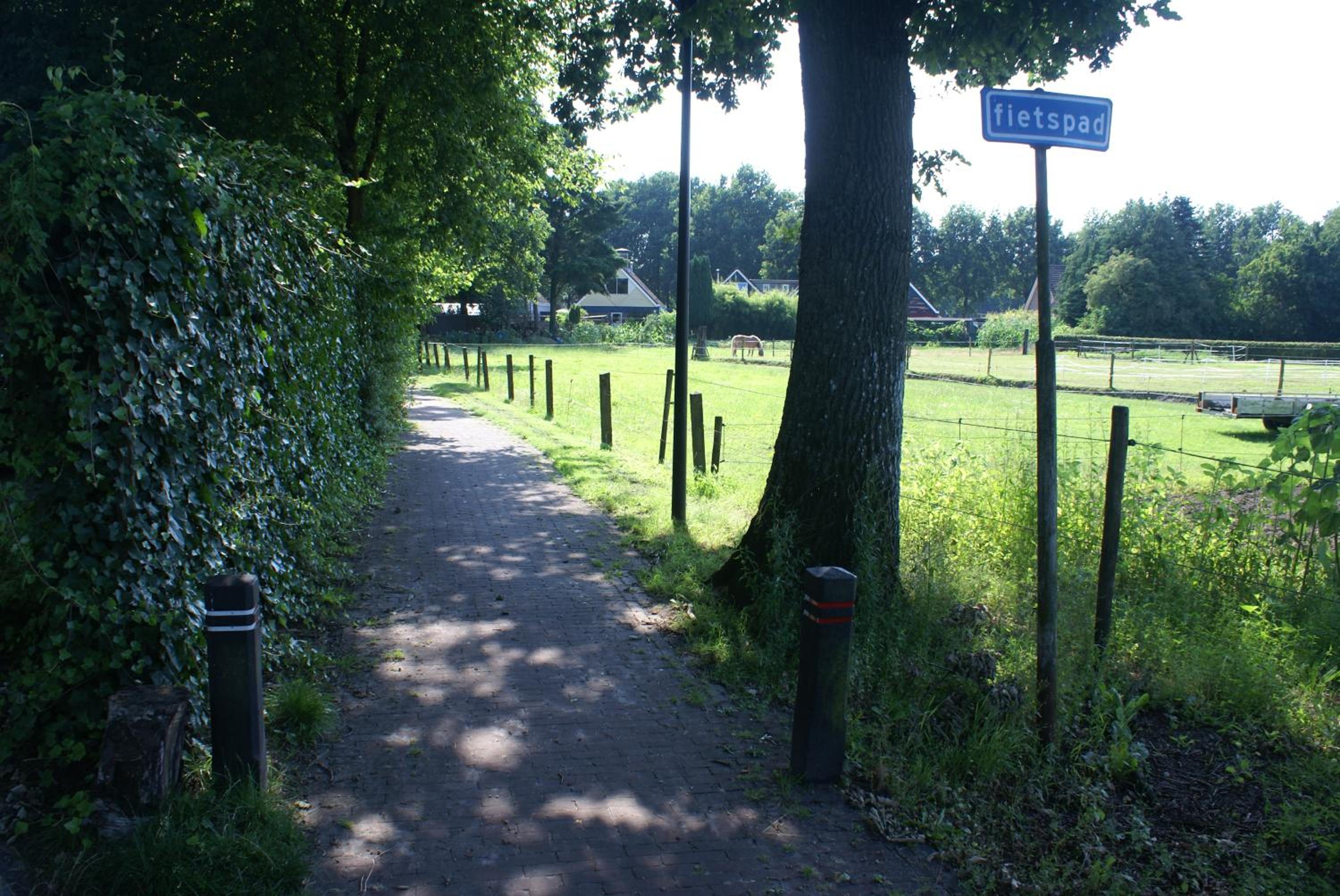 Photo 49