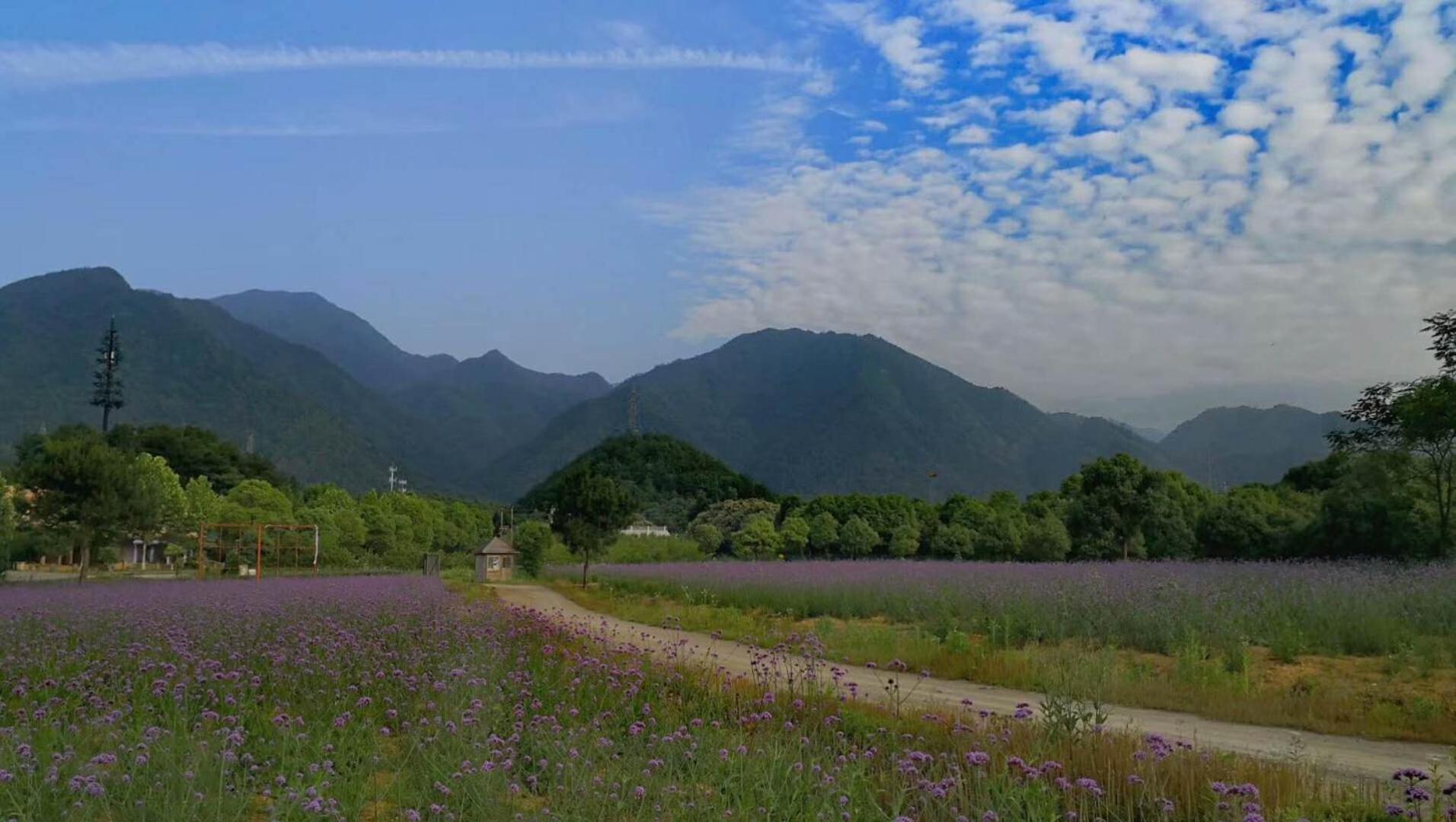 桐庐舍予民宿 Tonglu Sheyu Country House