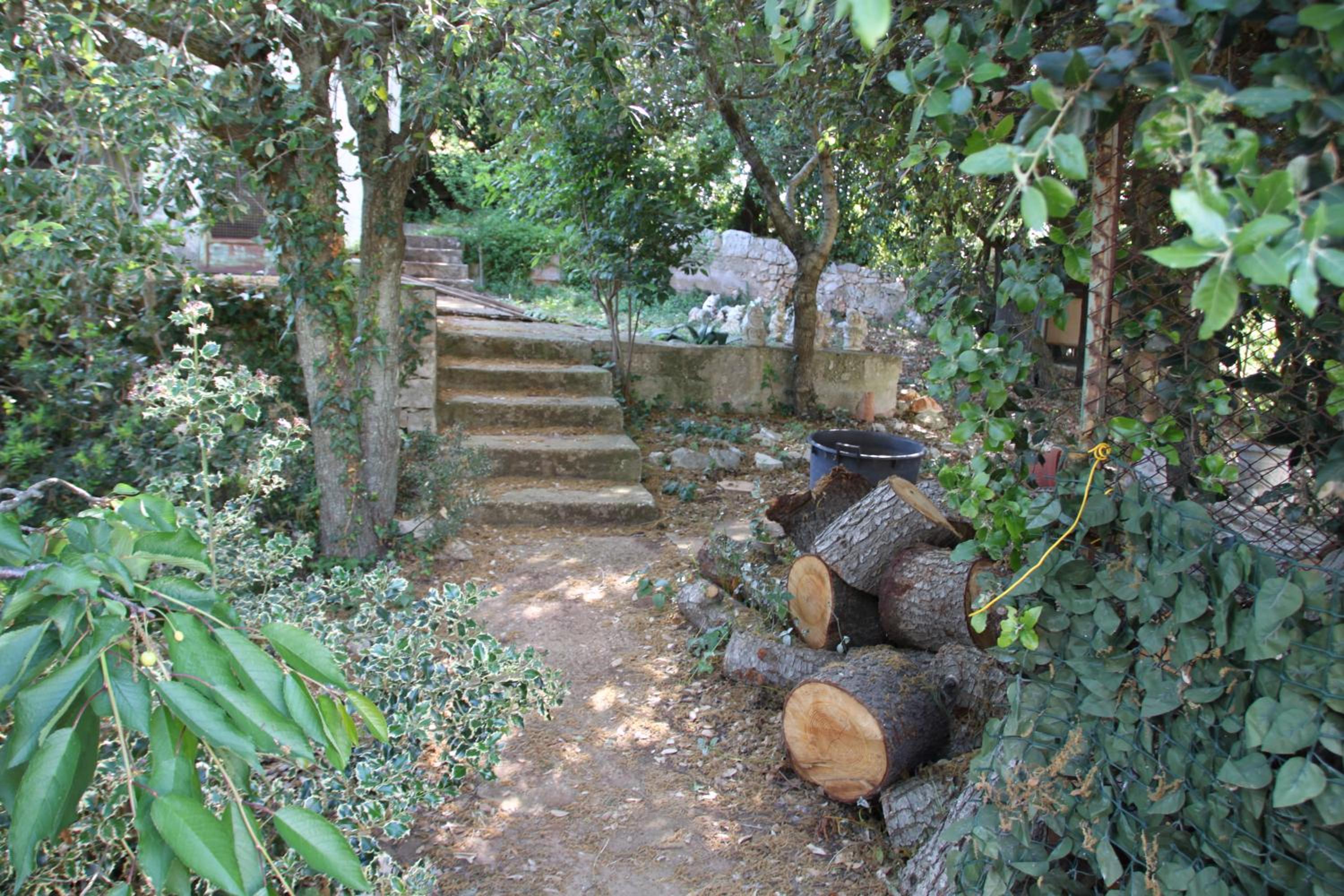 Photo 47