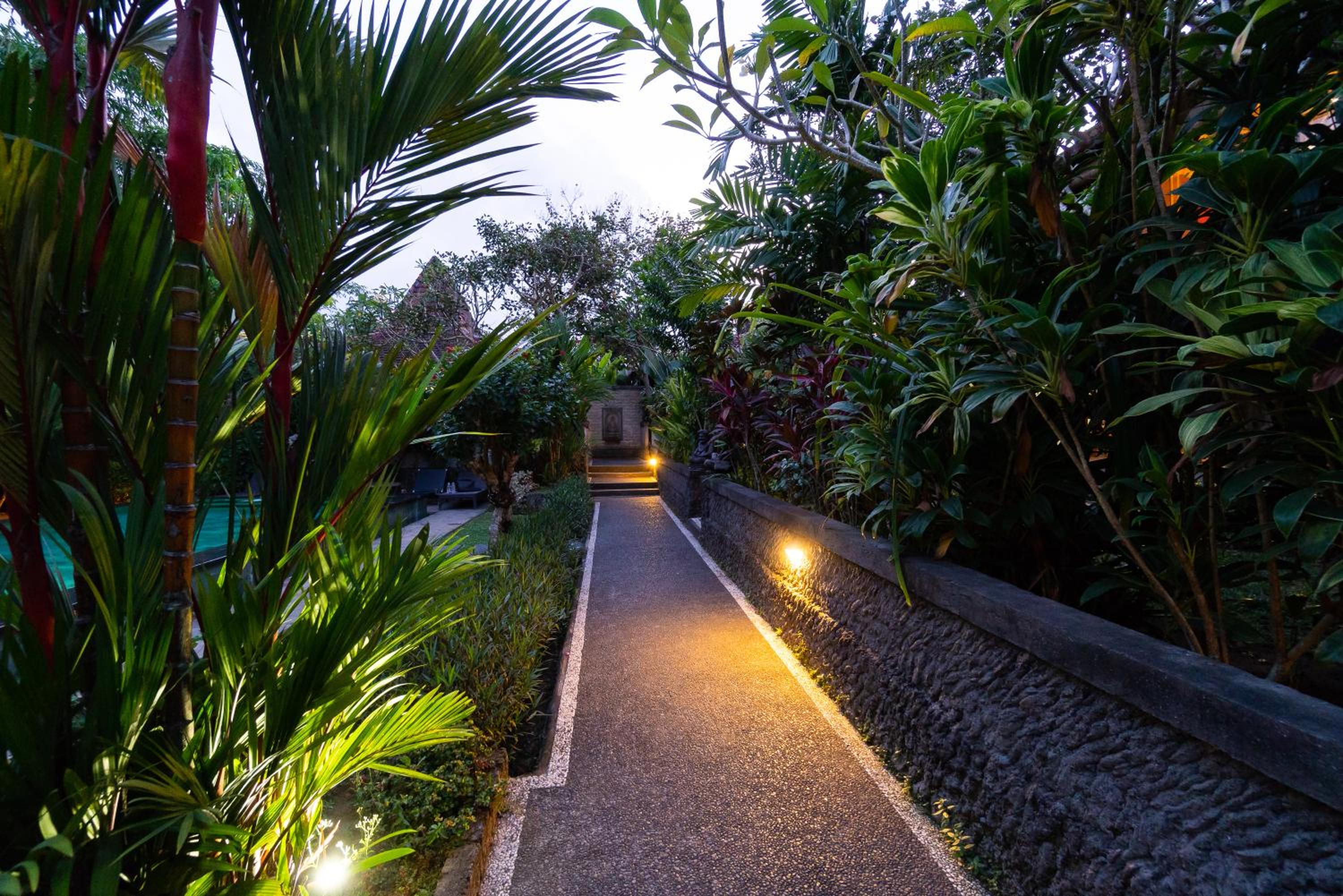 Sari Bamboo Villas