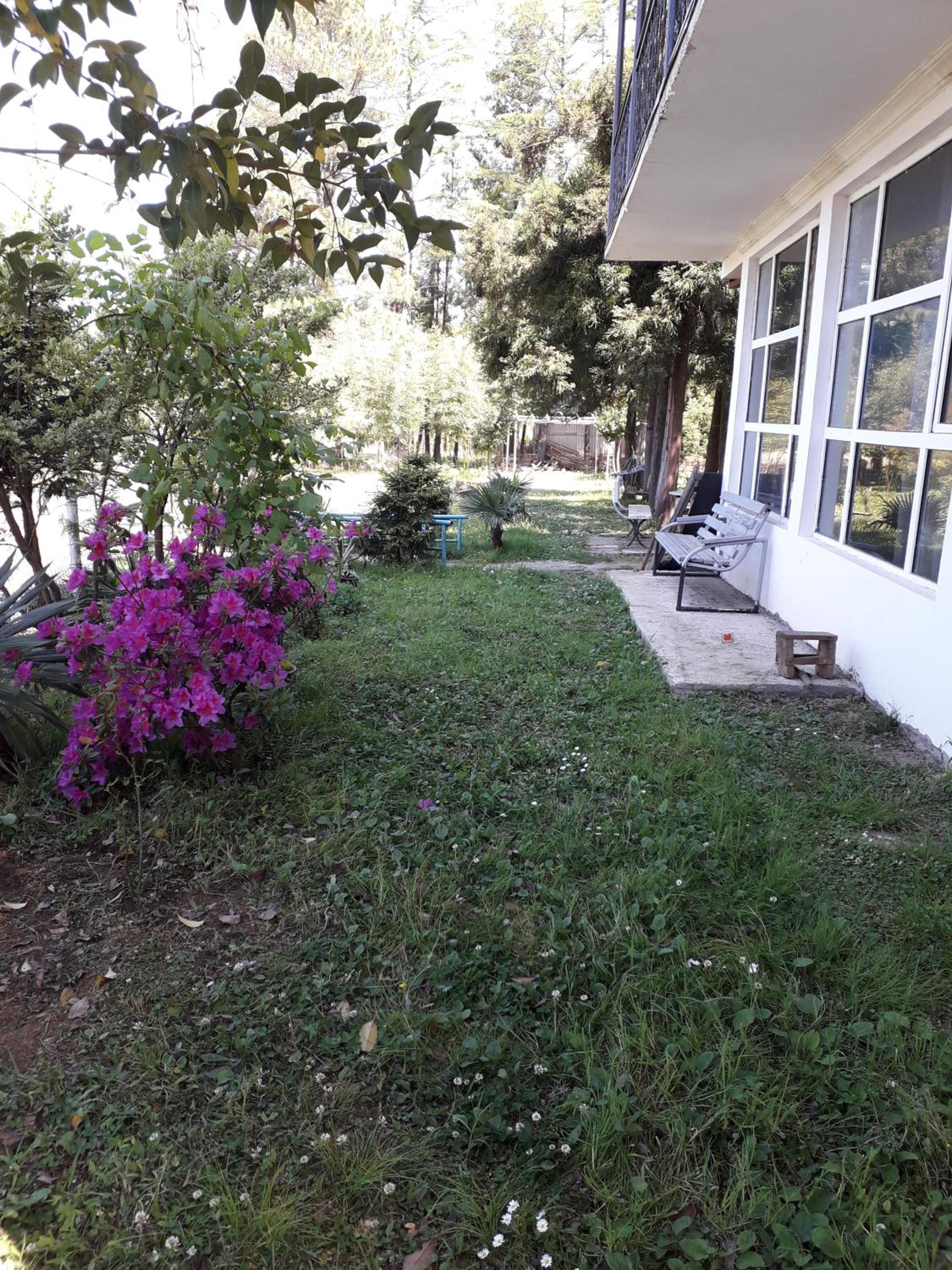 Photo 76