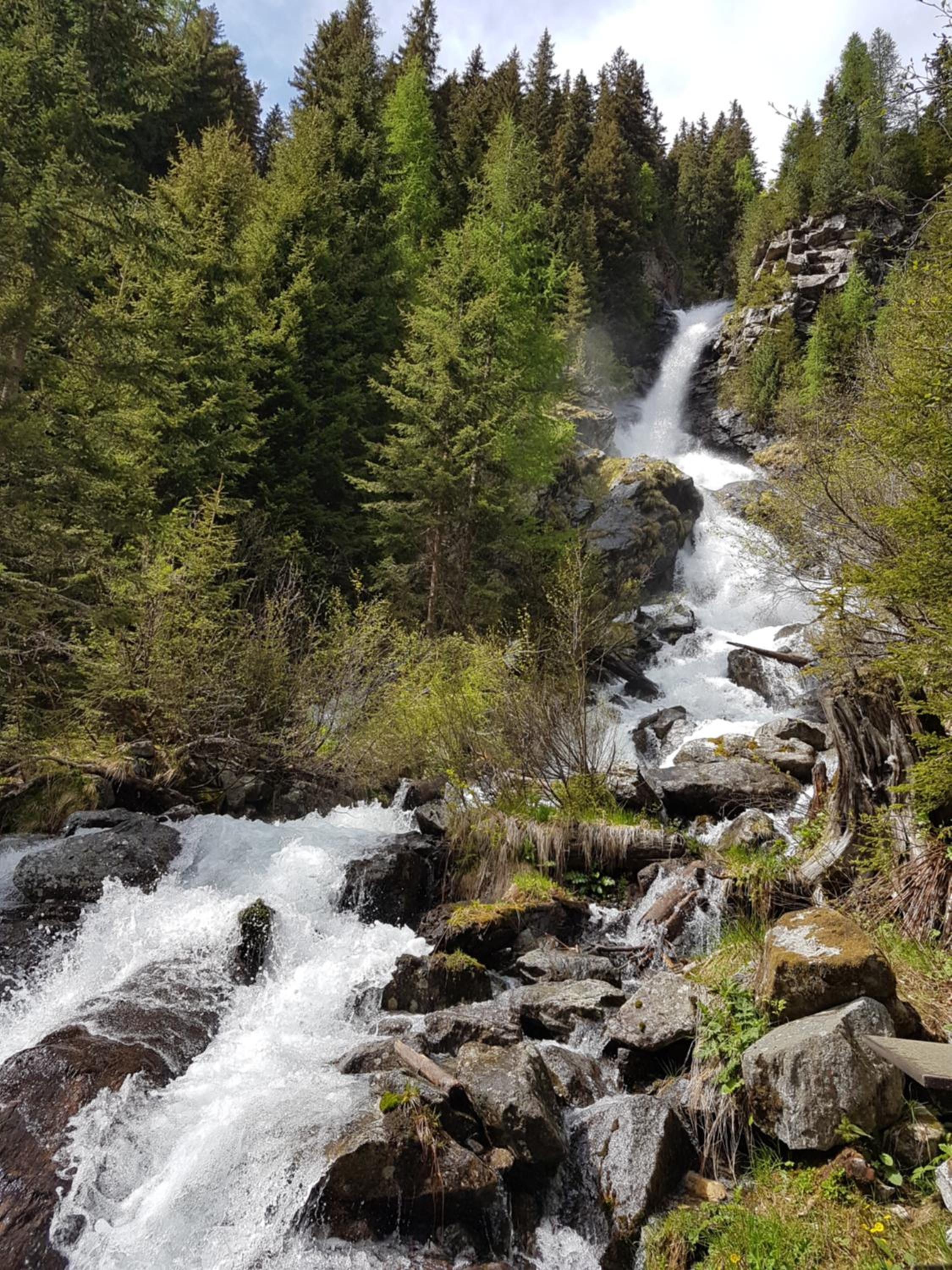 Pension Fürhapter mit Bio- Bauernhof