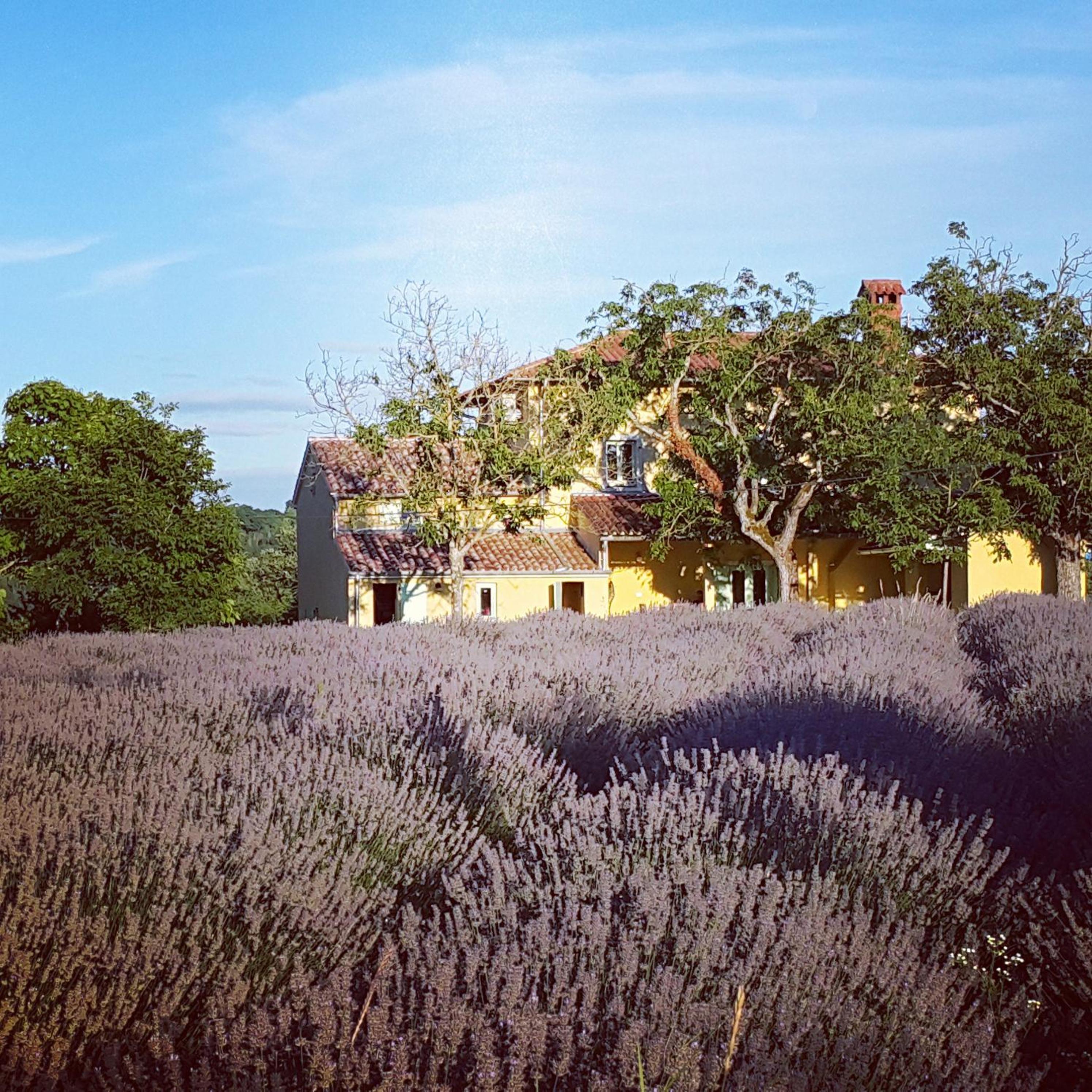 Villa Bellevue