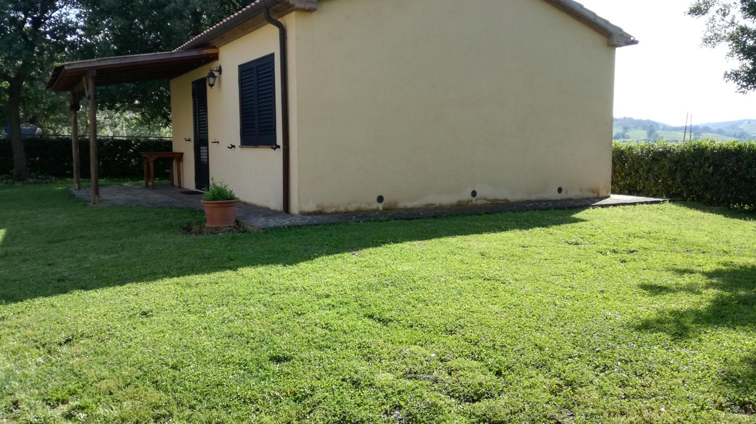 Photo 41