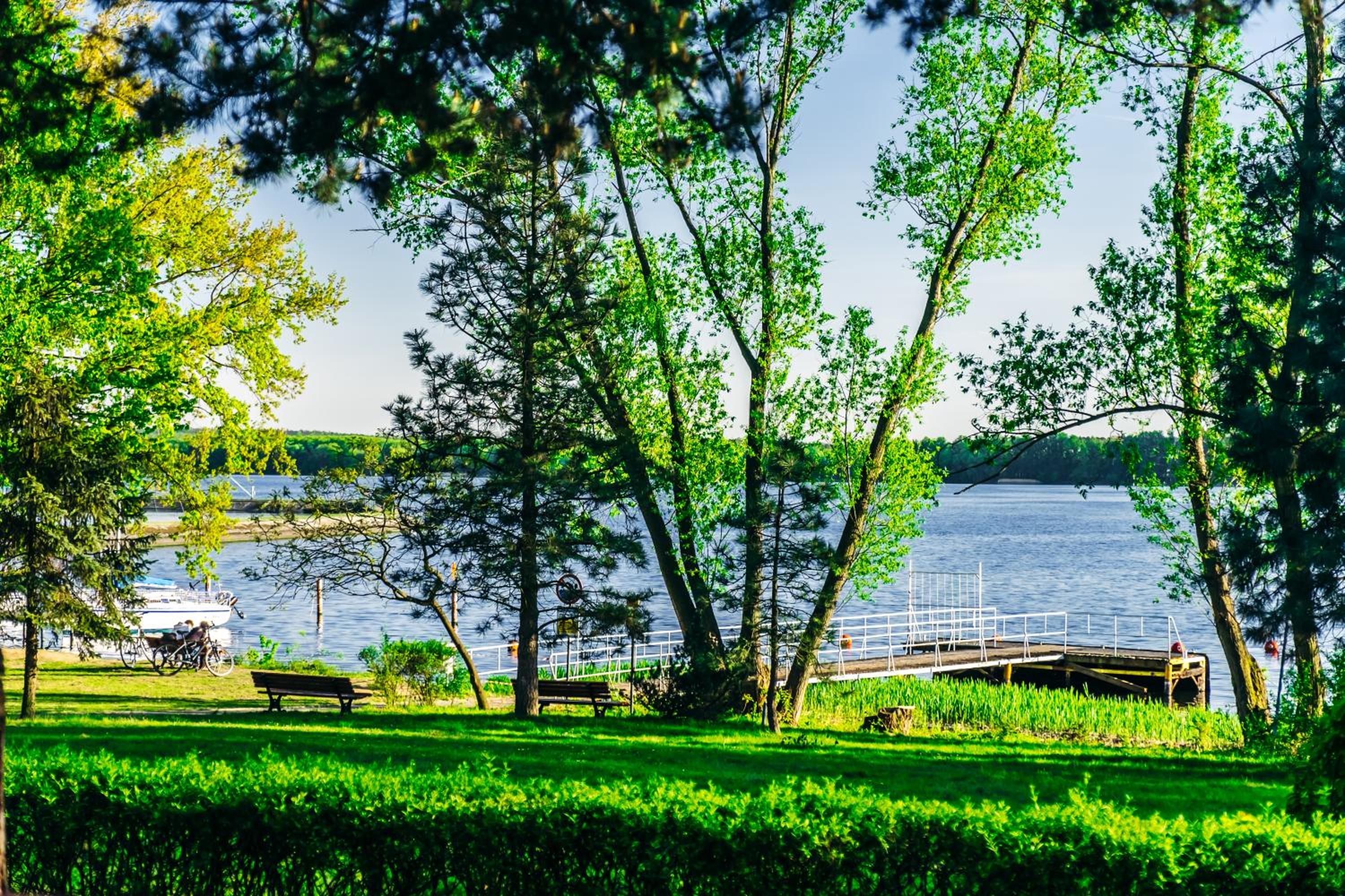 Ośrodek Szkoleniowo-Wypoczynkowy "Stodoły" view 5