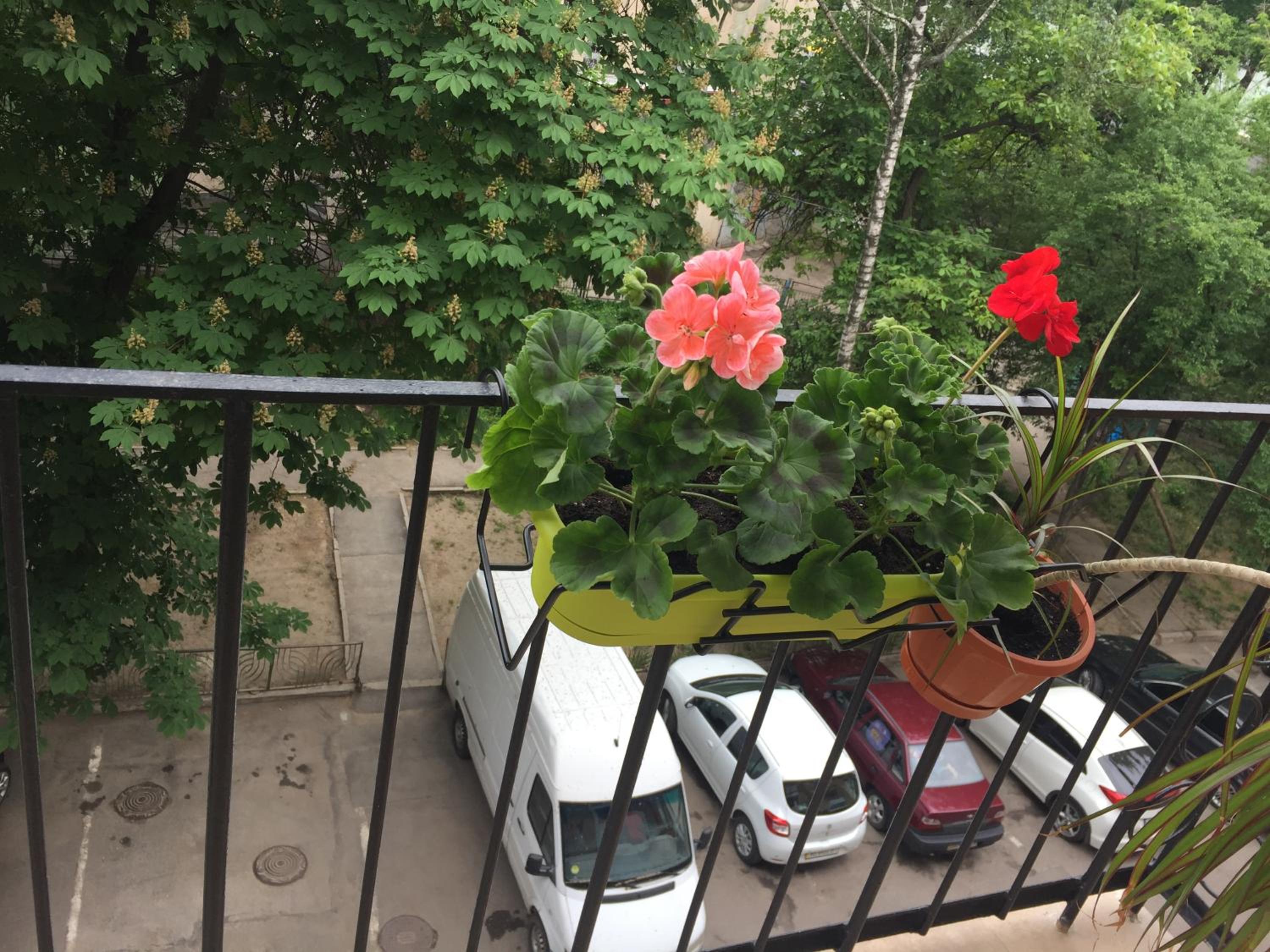 Квартира-Студия в Центре view 4