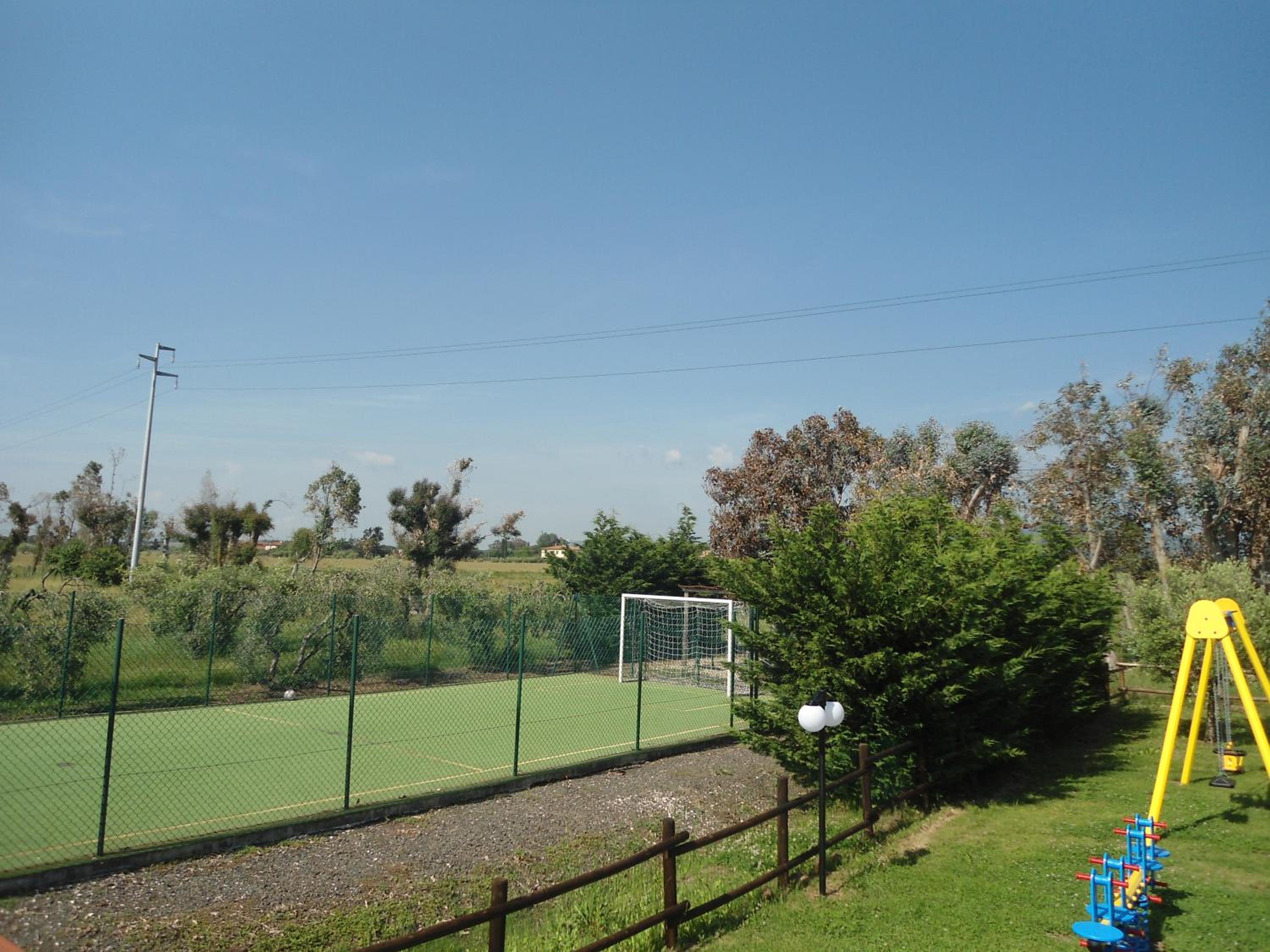 Photo 46