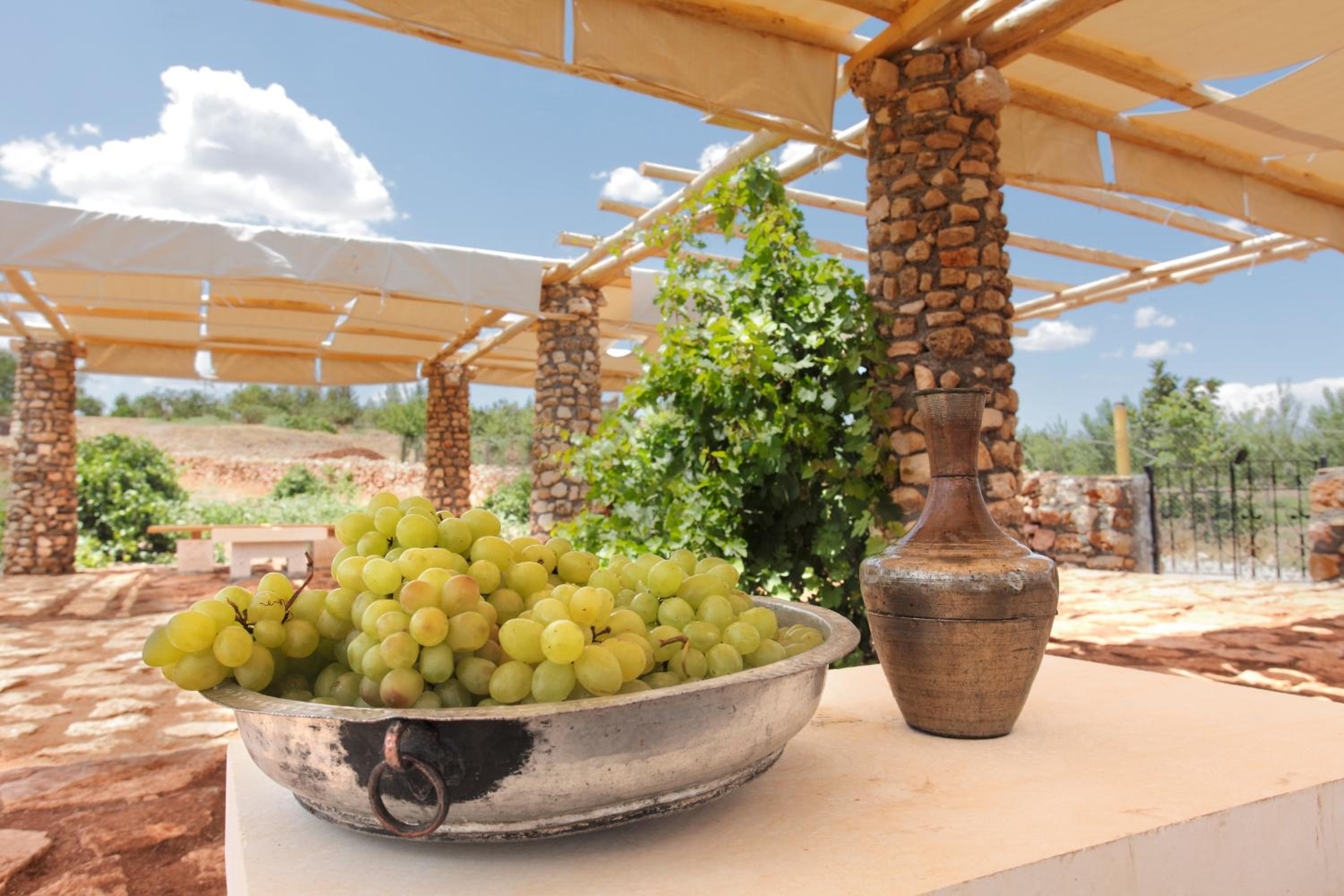 Kasr-i Nehroz Hotel