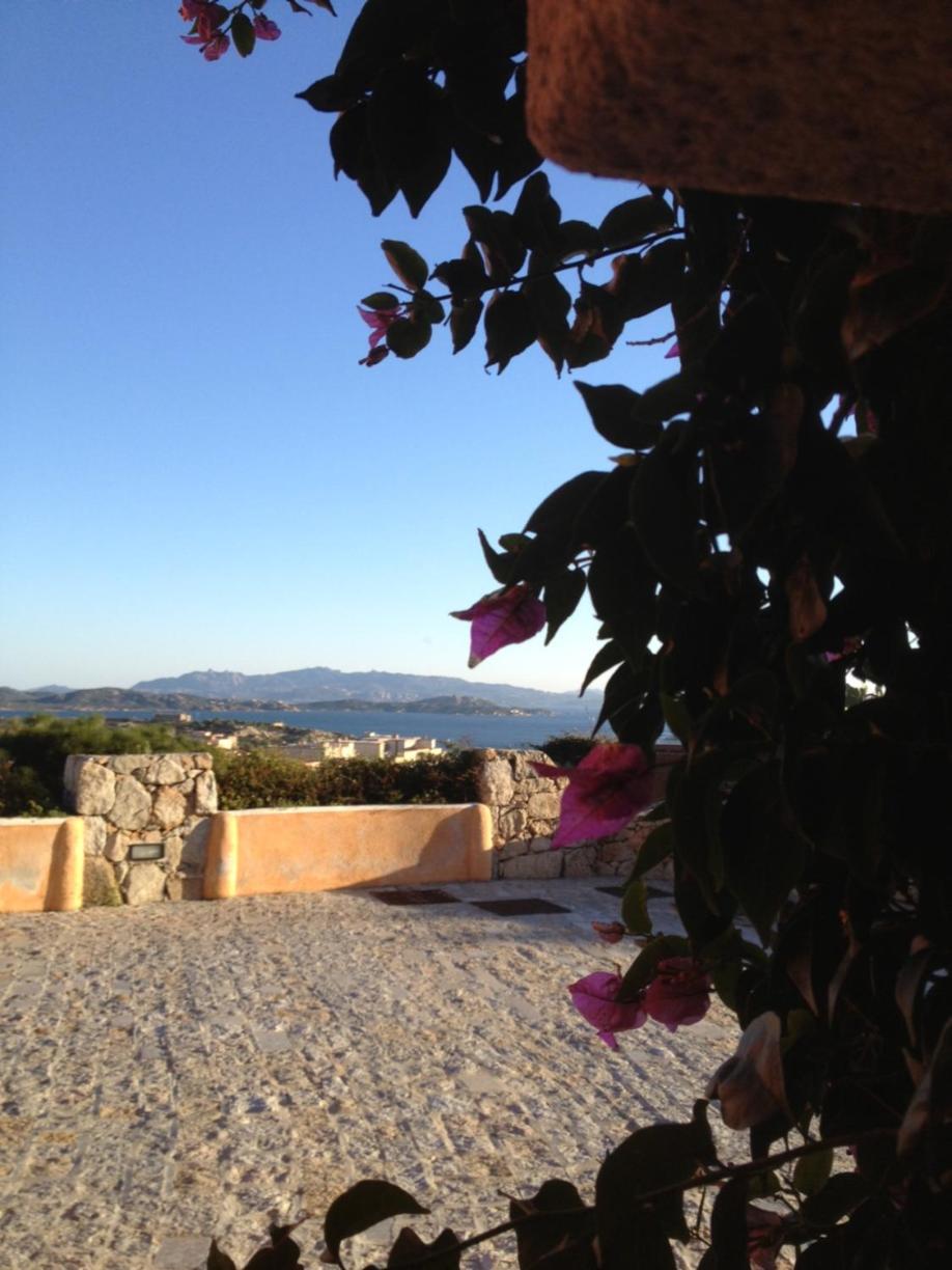 Photo 46