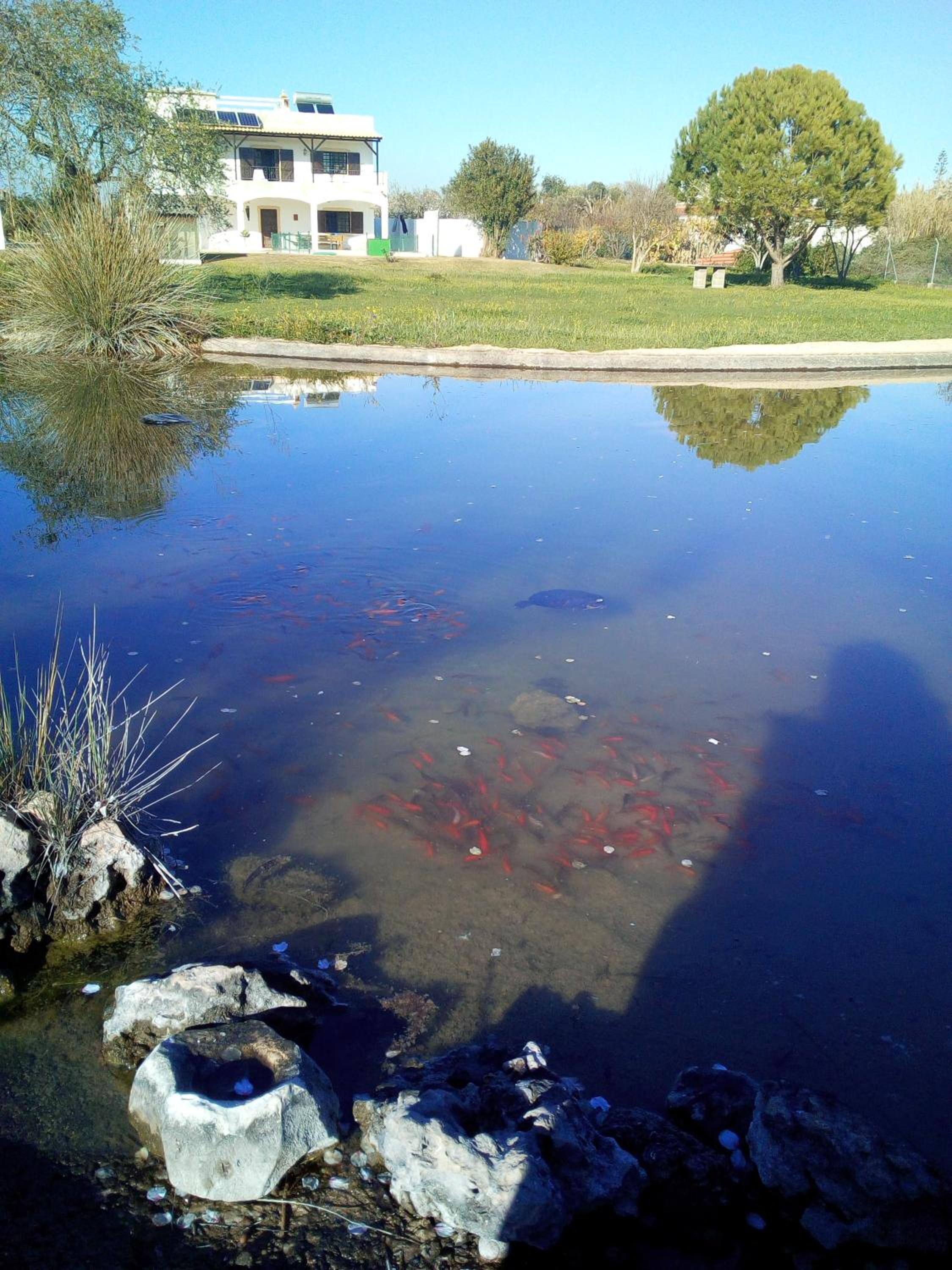Photo 48