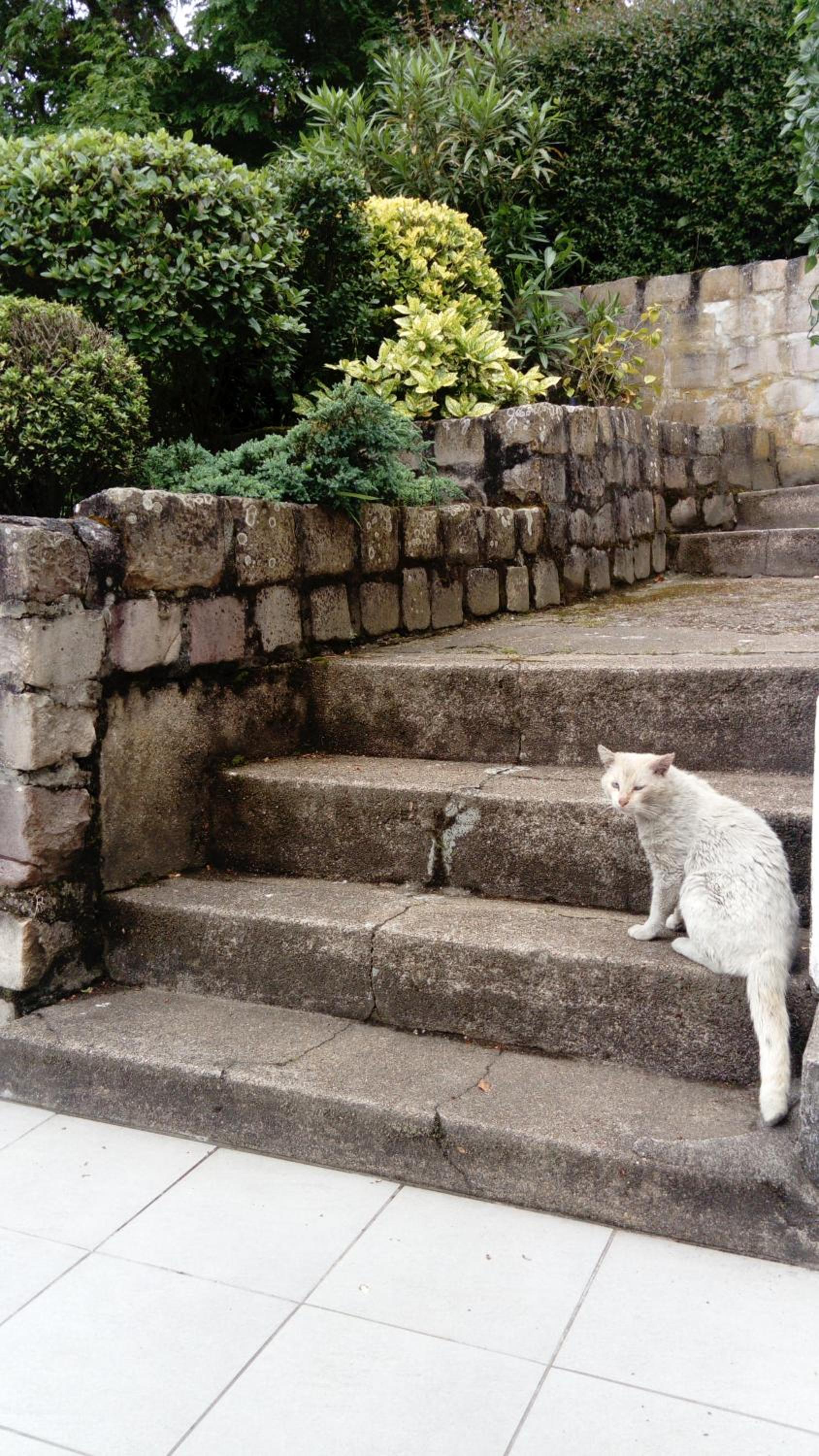 Hotel Chez Benat, photo 22