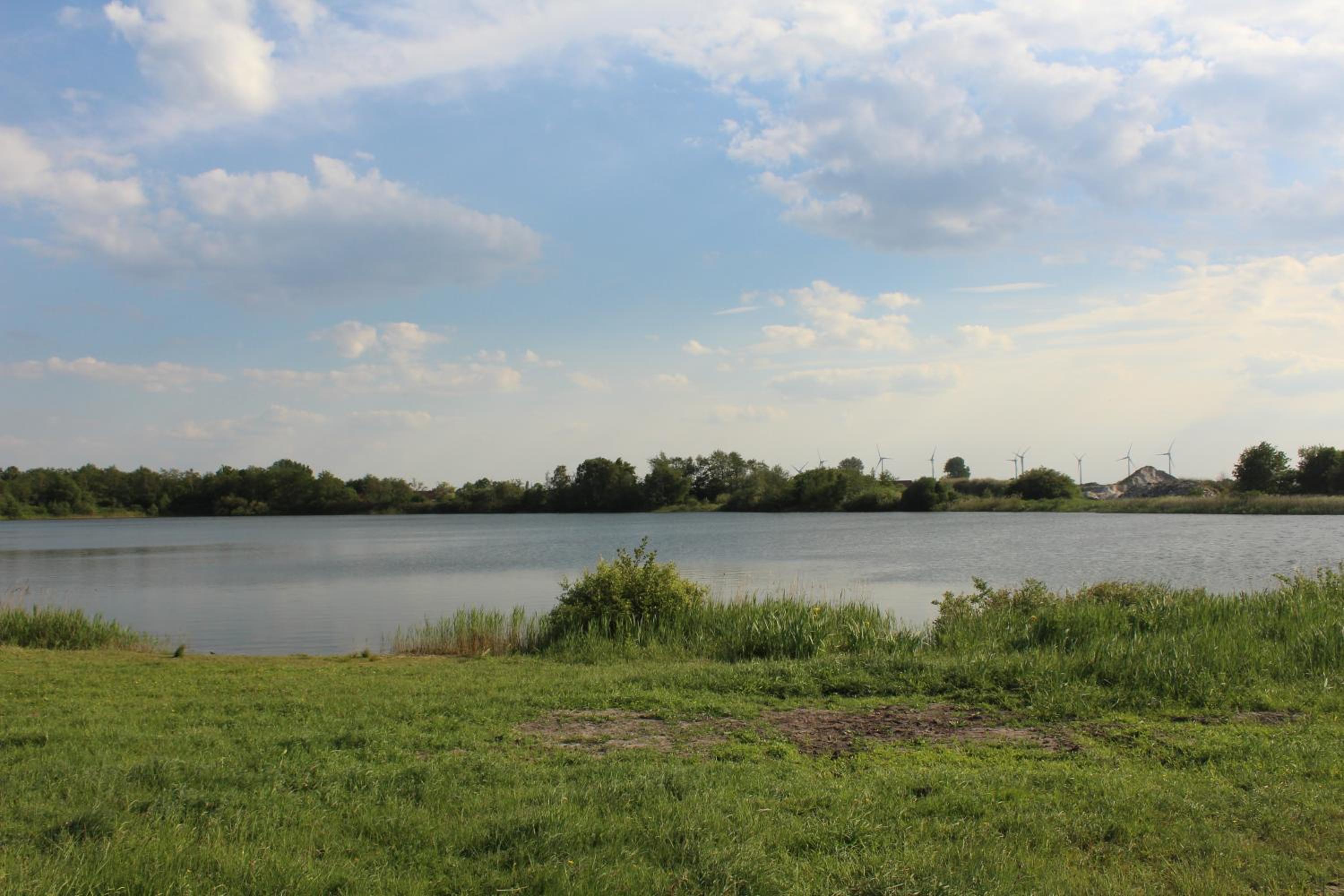 Photo 31
