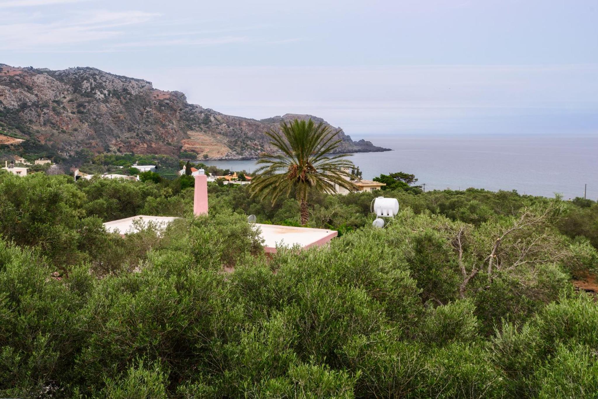 Palm Beach House