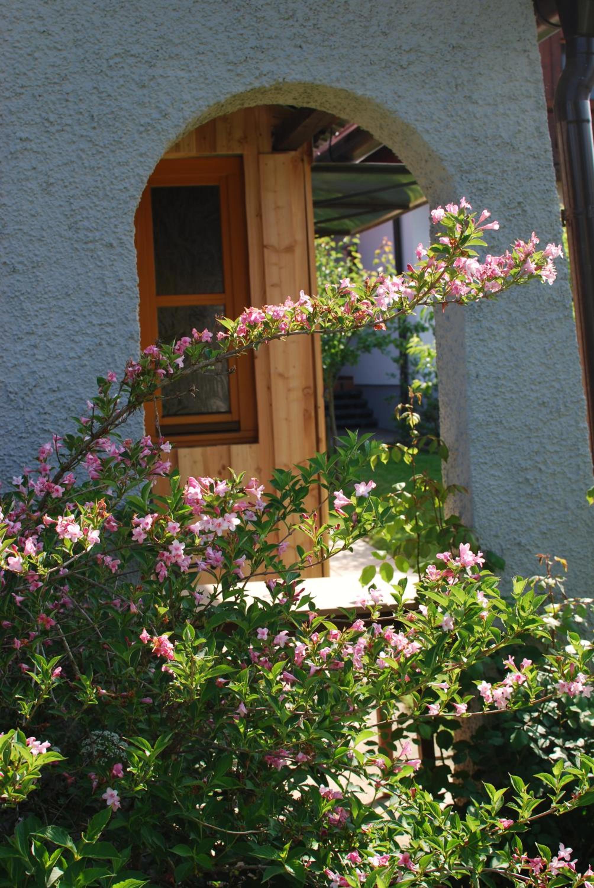 Pension Wolkenreich