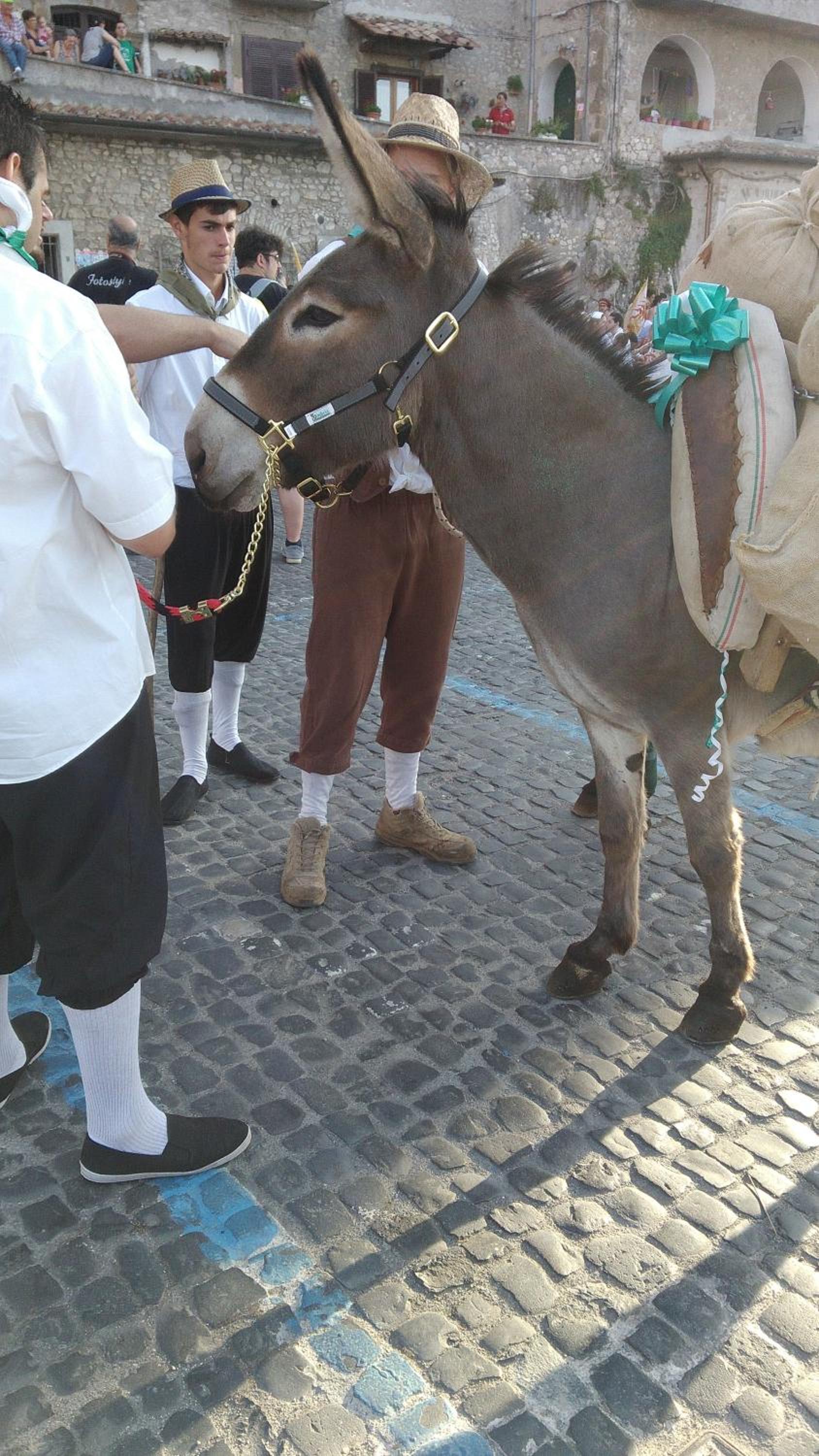 Photo 61