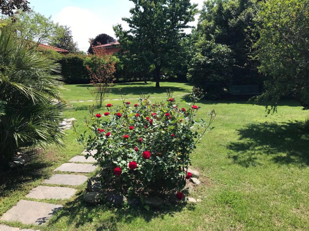 Photo 48