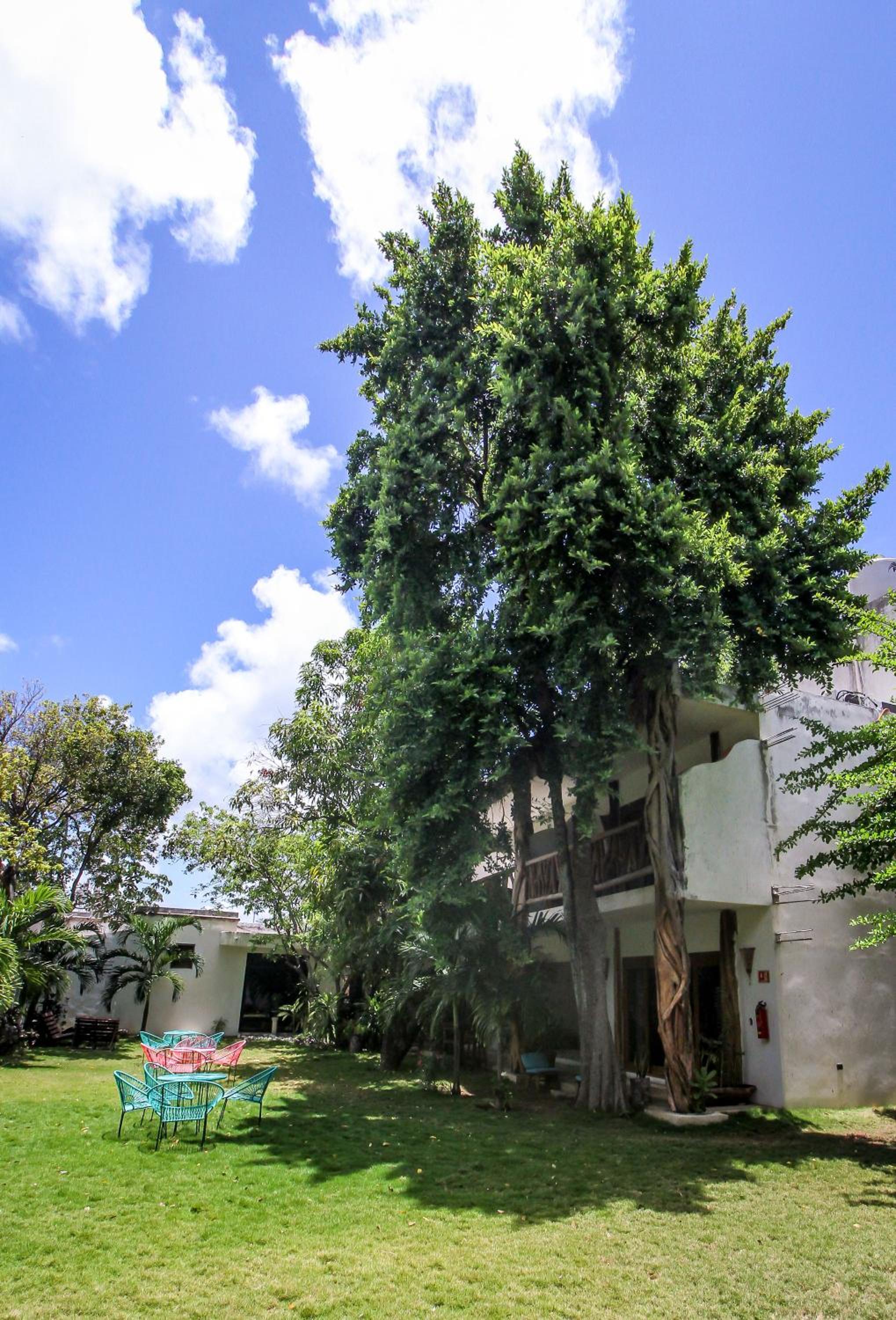Corazon De Jade Tulum - Property Image 35